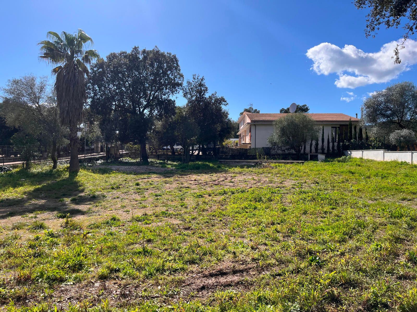 Fincas y solares-Venta-Sa Pobla-1659770-Foto-1