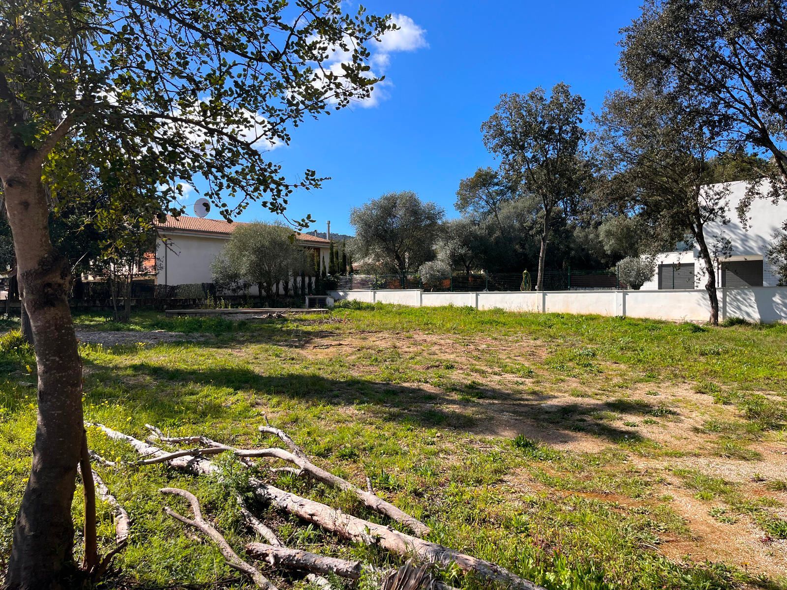 Fincas y solares-Venta-Sa Pobla-1659770-Foto-3