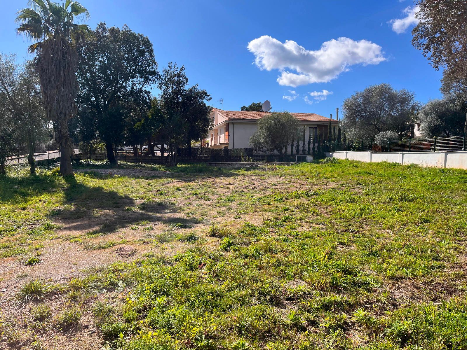 Fincas y solares-Venta-Sa Pobla-1659770-Foto-16