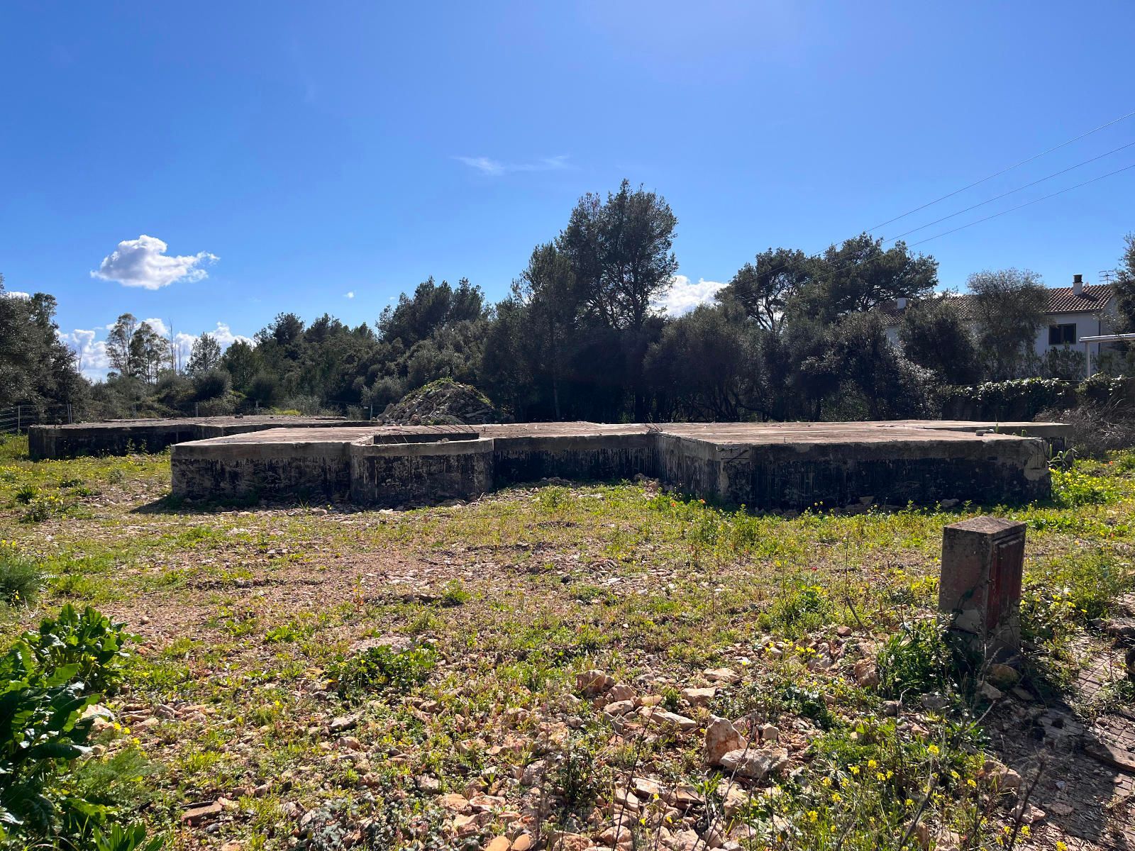 Fincas y solares-Venta-Sa Pobla-1659773-Foto-4