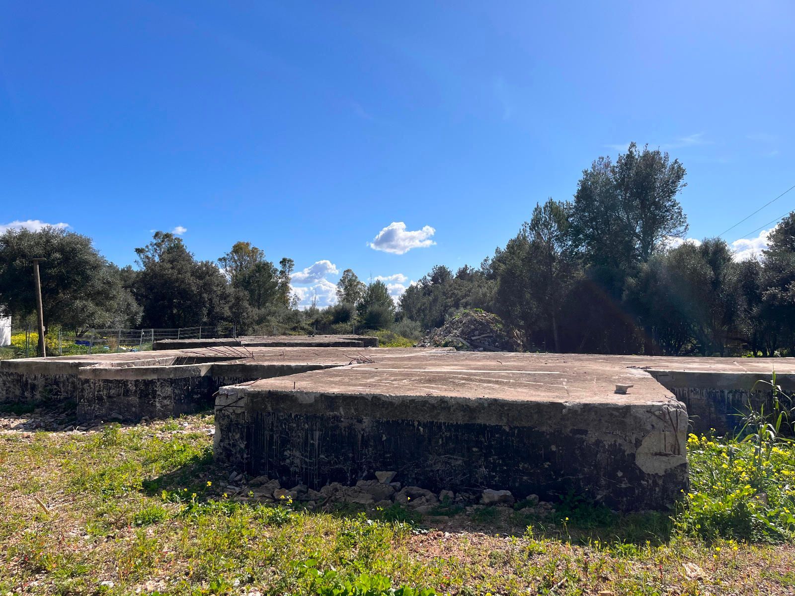 Fincas y solares-Venta-Sa Pobla-1659773-Foto-6