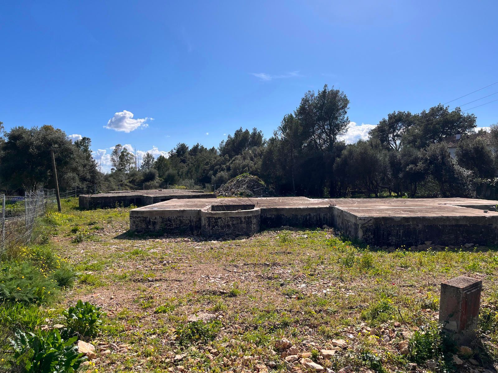 Fincas y solares-Venta-Sa Pobla-1659773-Foto-8