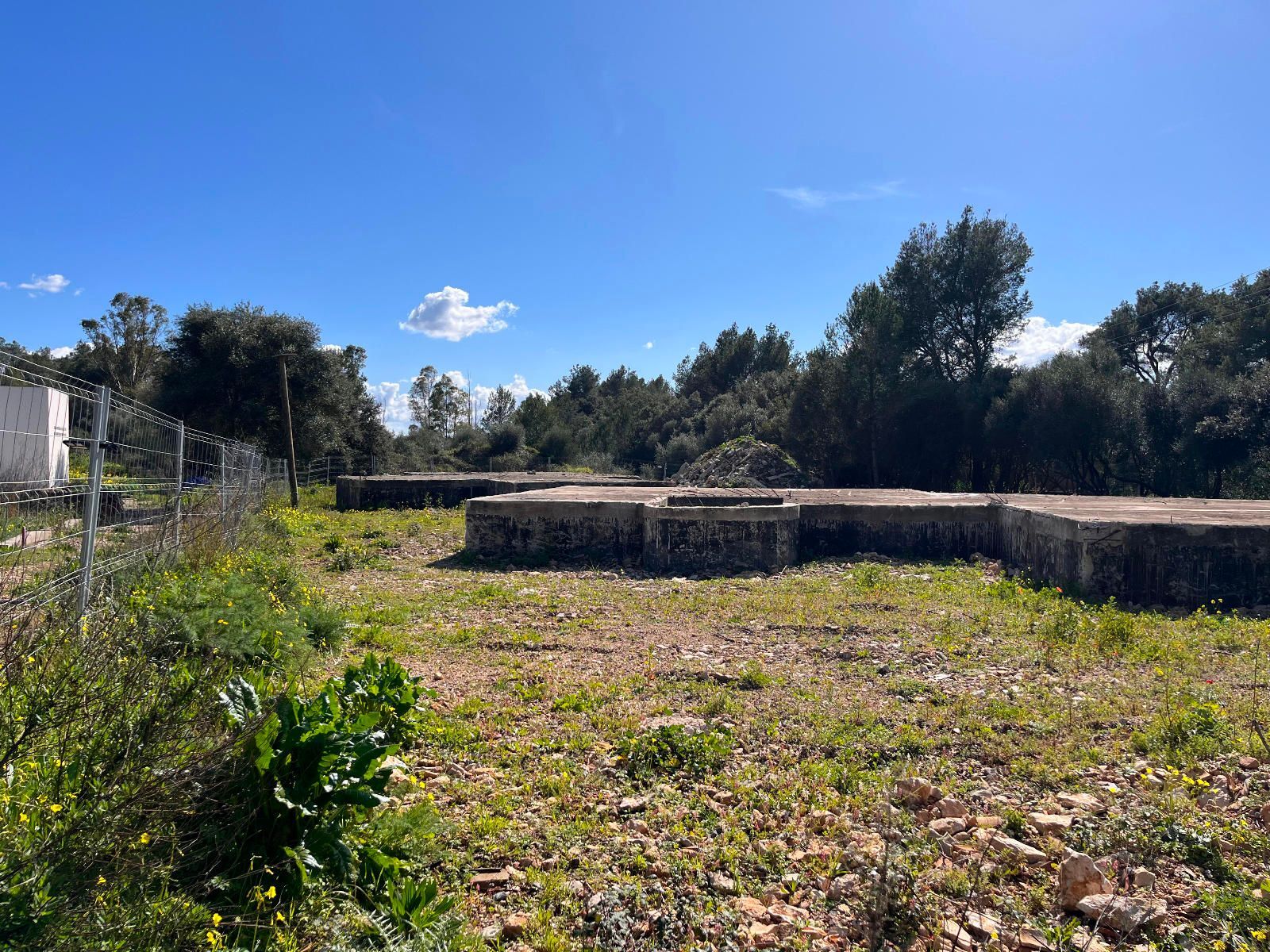 Fincas y solares-Venta-Sa Pobla-1659773-Foto-9