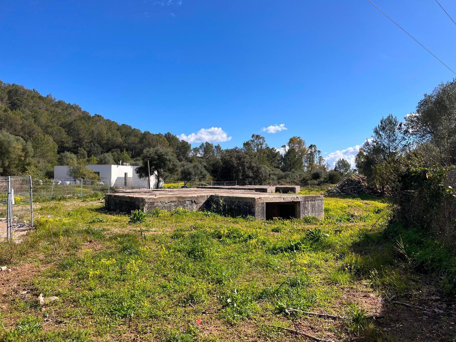 Fincas y solares-Venta-Sa Pobla-1659773-Foto-12