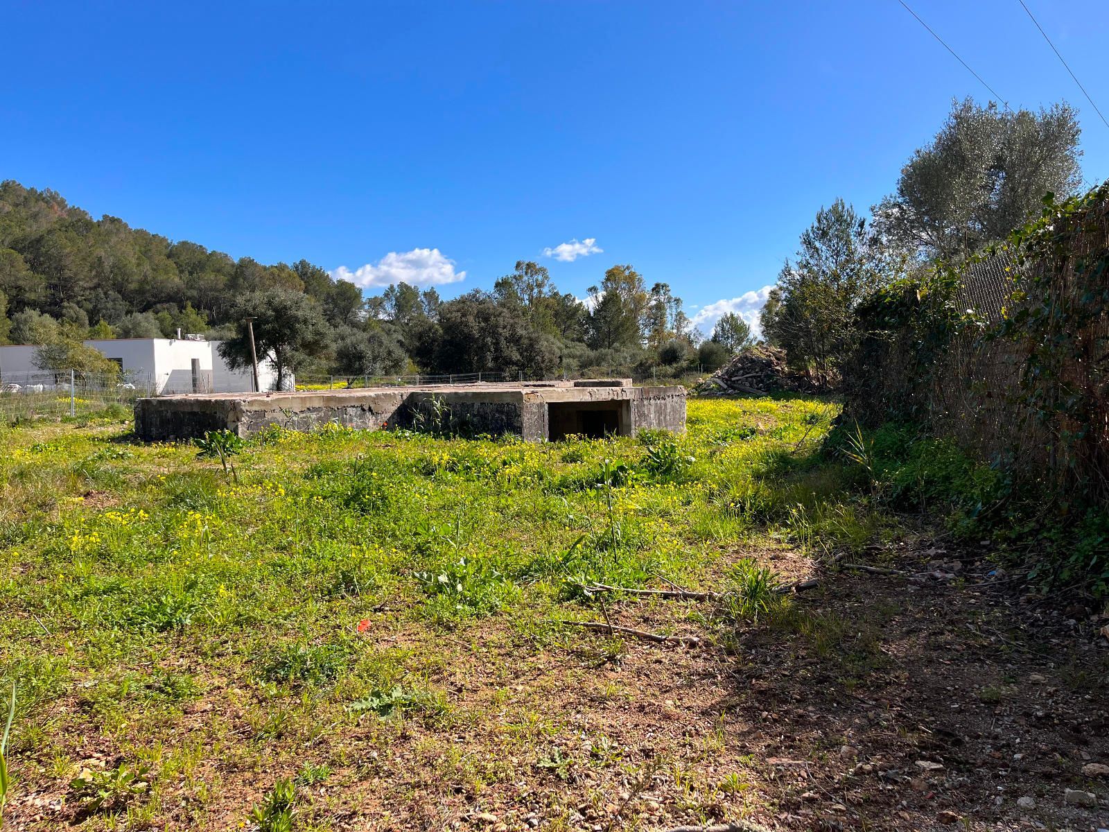 Fincas y solares-Venta-Sa Pobla-1659773-Foto-11