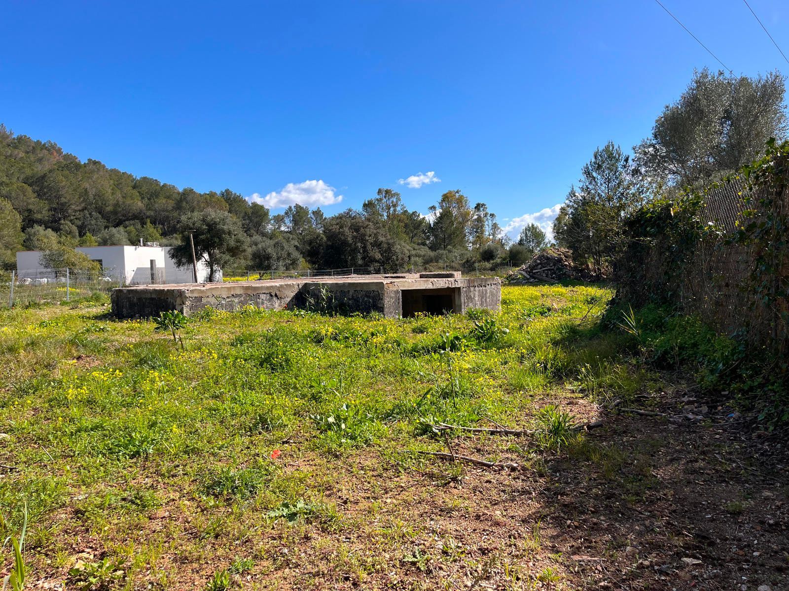 Fincas y solares-Venta-Sa Pobla-1659773-Foto-13