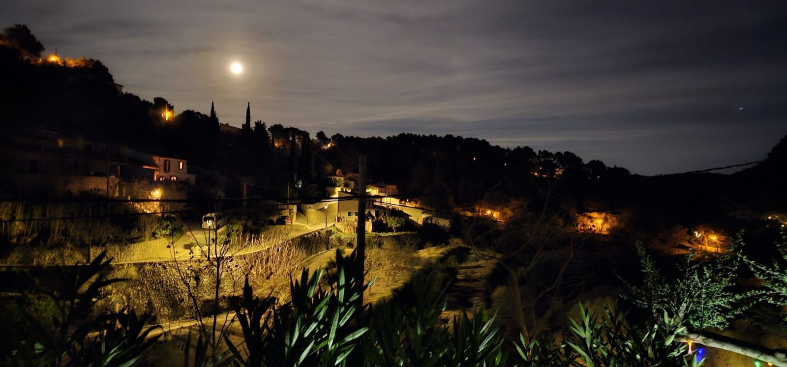 Casas o chalets-Venta-Puigpunyent-1830414-Foto-23