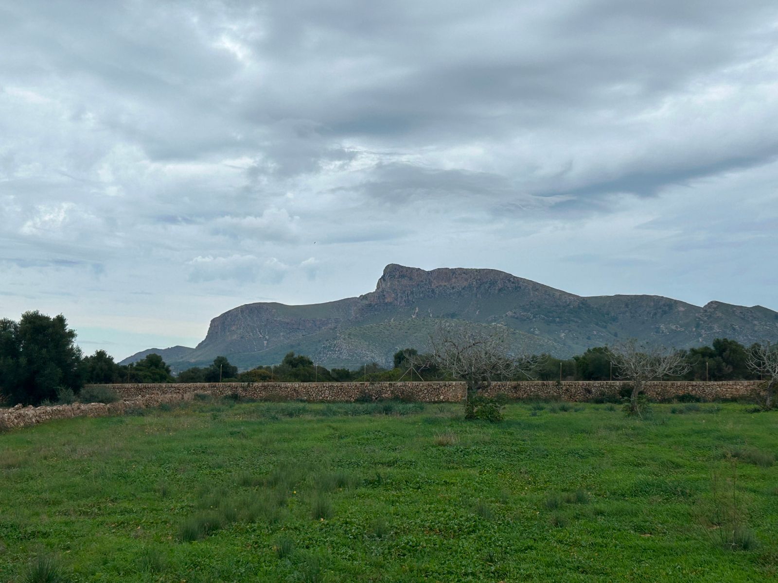 Pisos-Venta-Petra-1977666-Foto-6