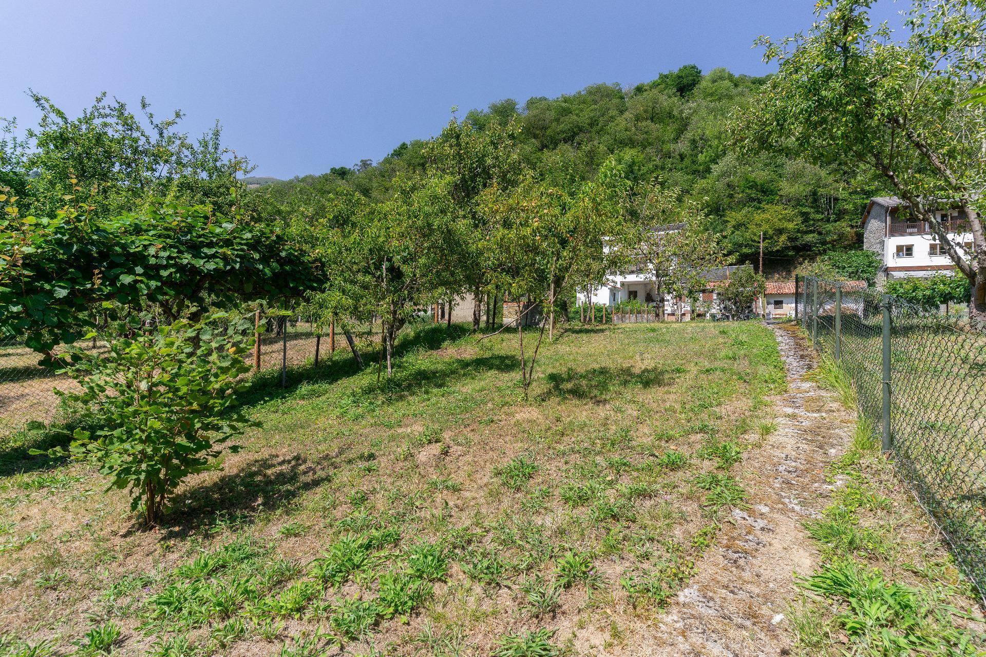 Casas o chalets-Venta-Mieres-1831752-Foto-39