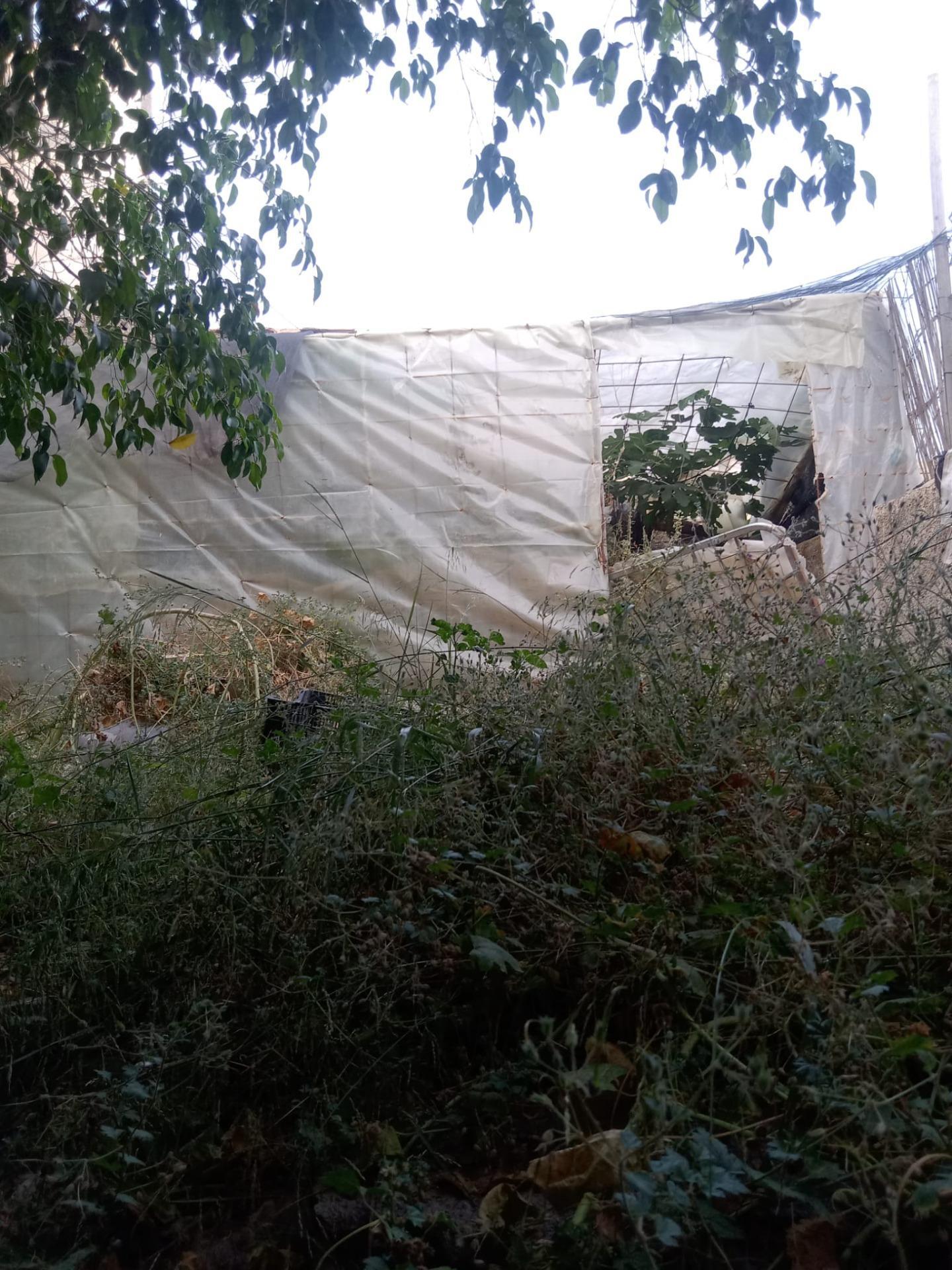 Casas o chalets-Venta-GÃ©rgal-2010209-Foto-24