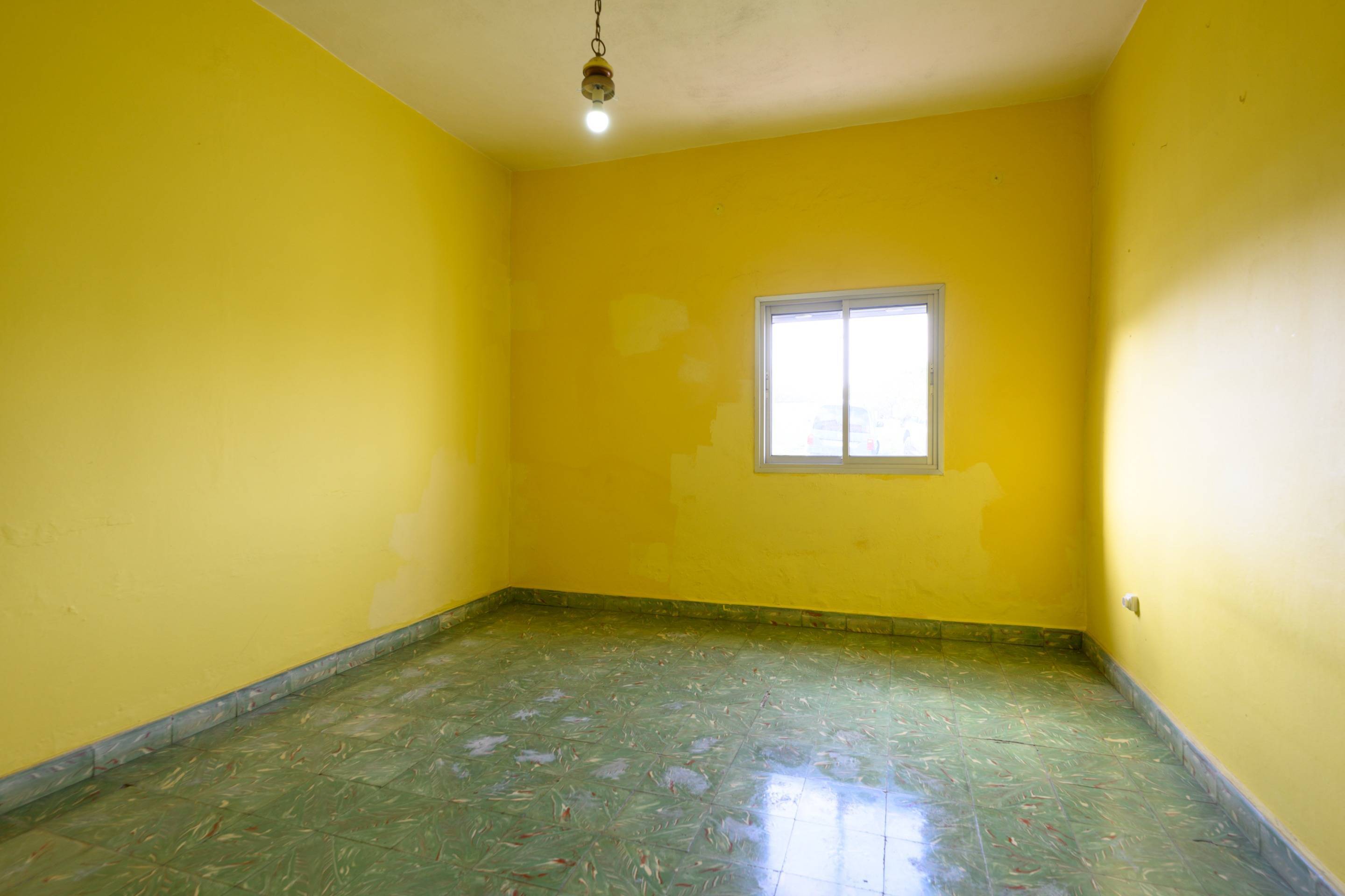 Casas o chalets-Venta-Firgas-1712936-Foto-10