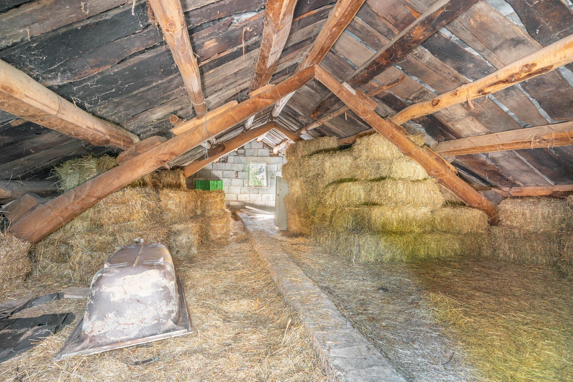 Casas o chalets-Venta-Ibias-2010245-Foto-29