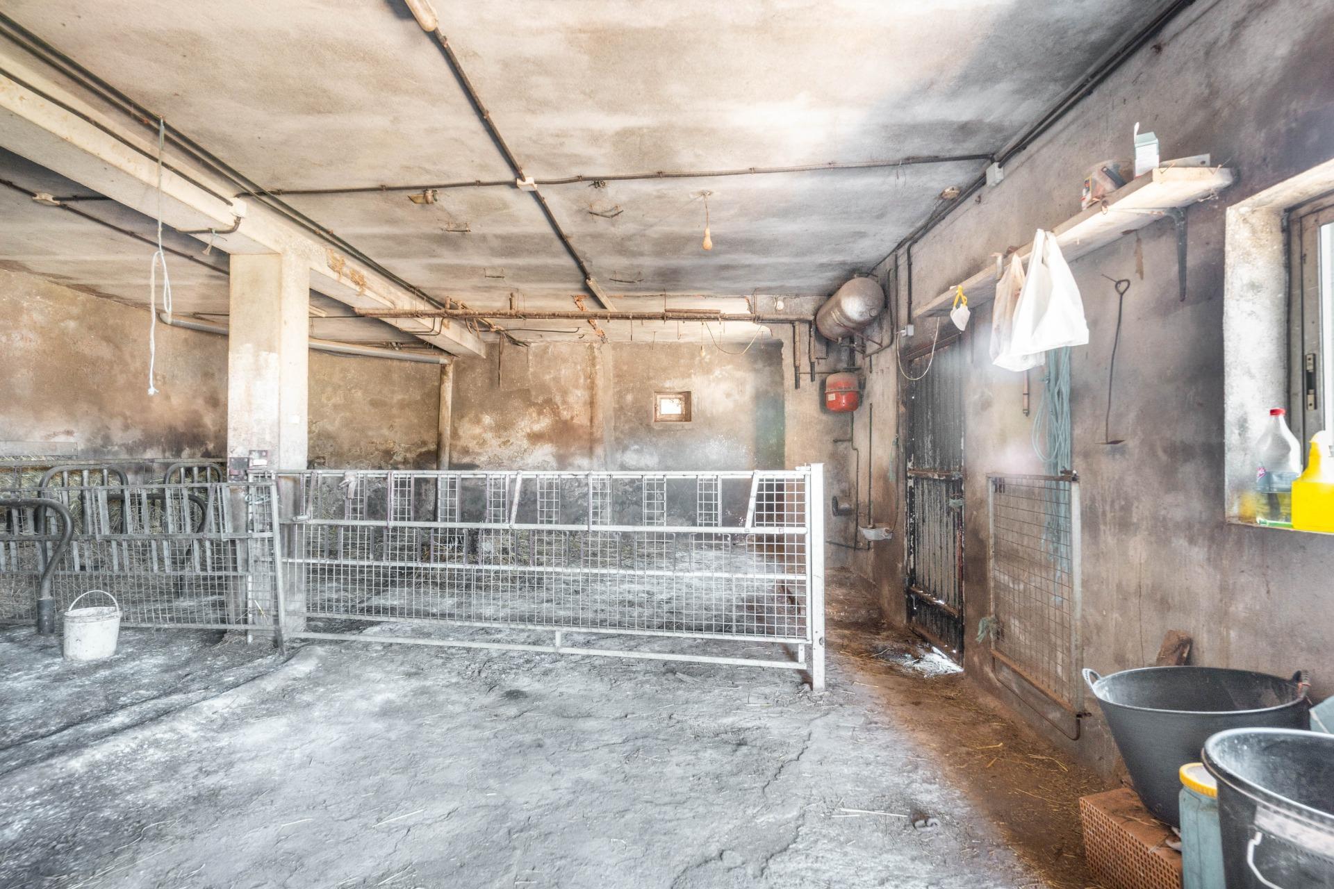 Casas o chalets-Venta-Ibias-2010245-Foto-32