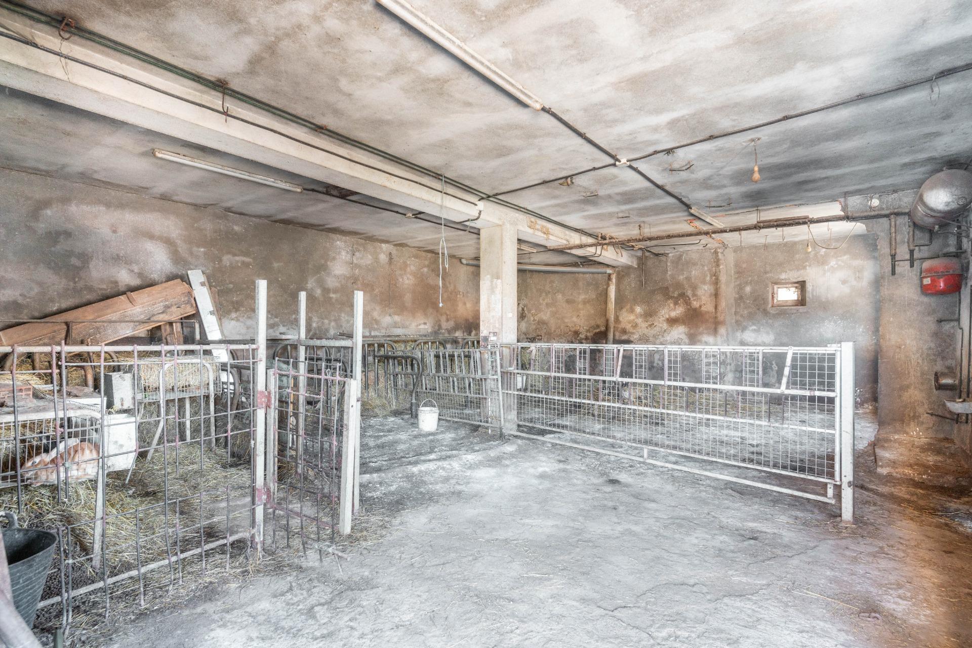 Casas o chalets-Venta-Ibias-2010245-Foto-33