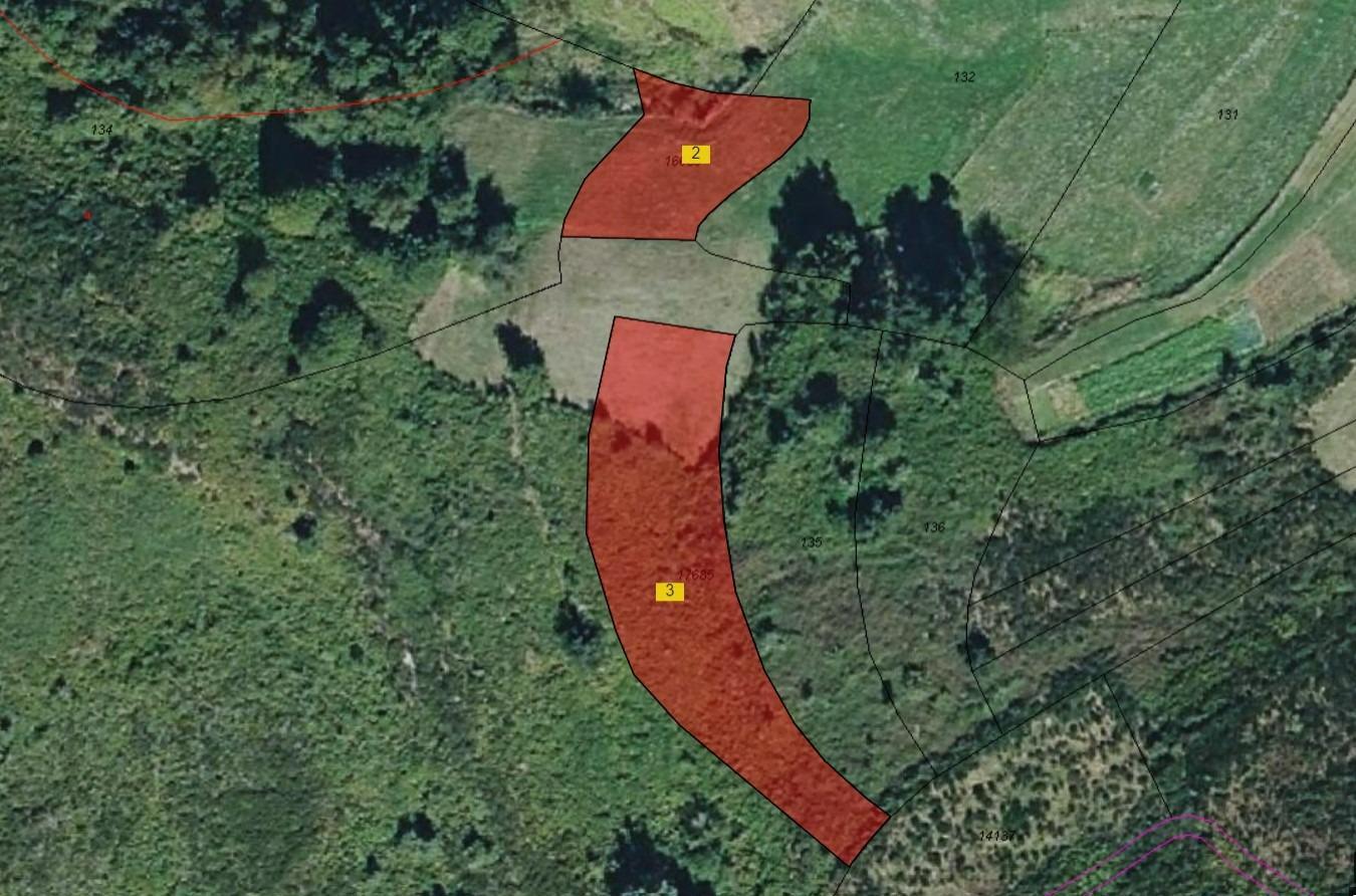 Casas o chalets-Venta-Ibias-2010245-Foto-55