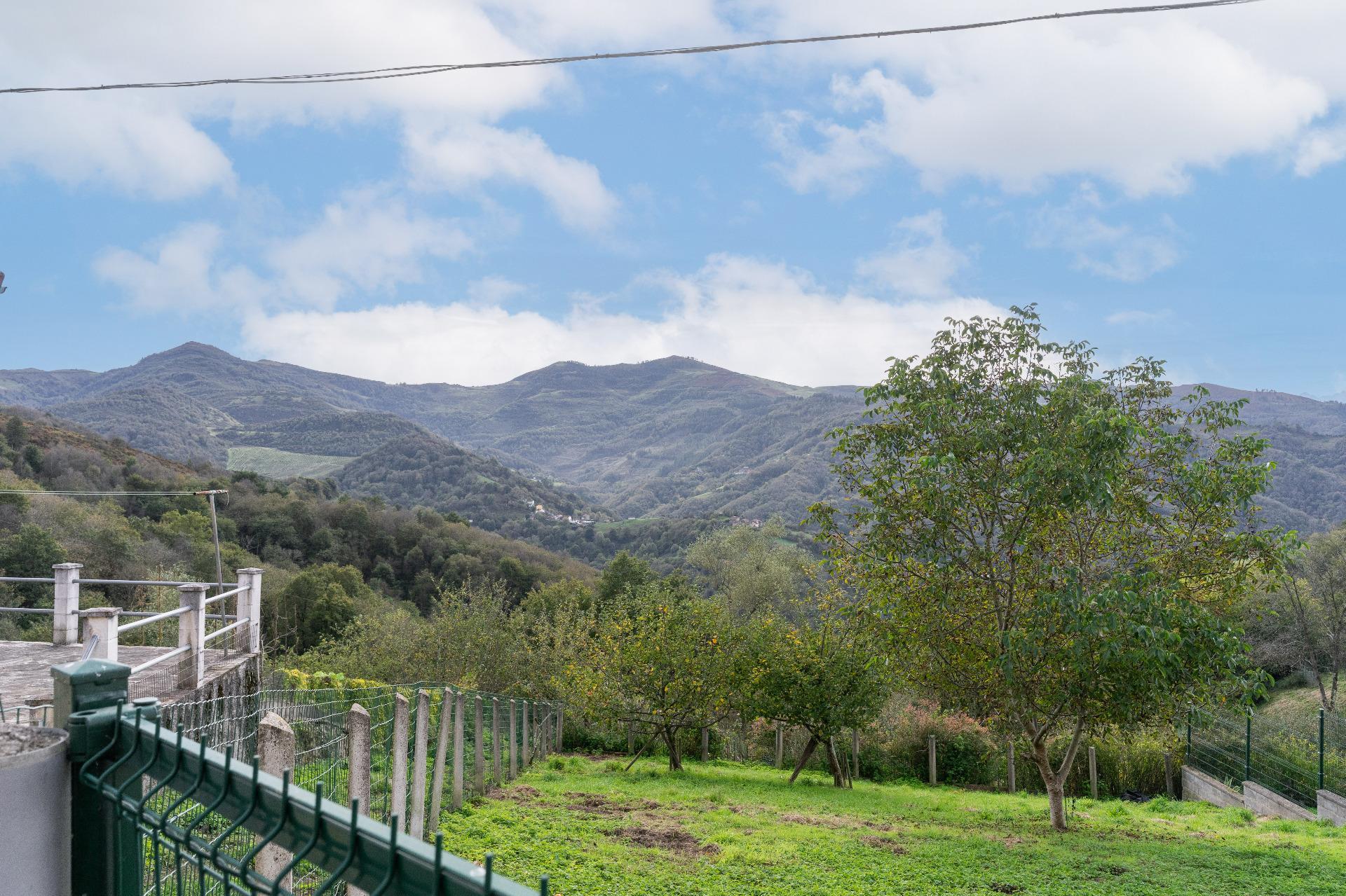 Casas o chalets-Venta-Mieres-1973663-Foto-19