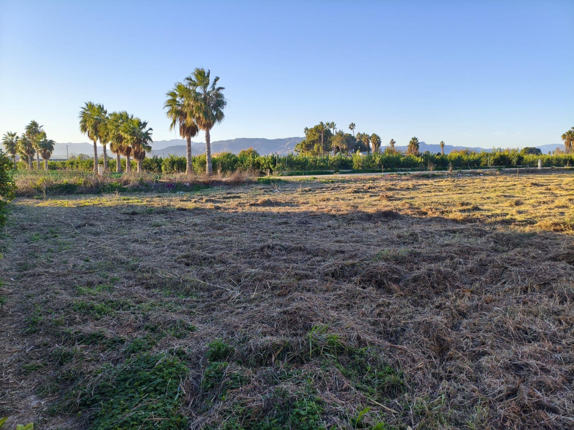 Fincas y solares-Venta-Murcia-2010197-Foto-2