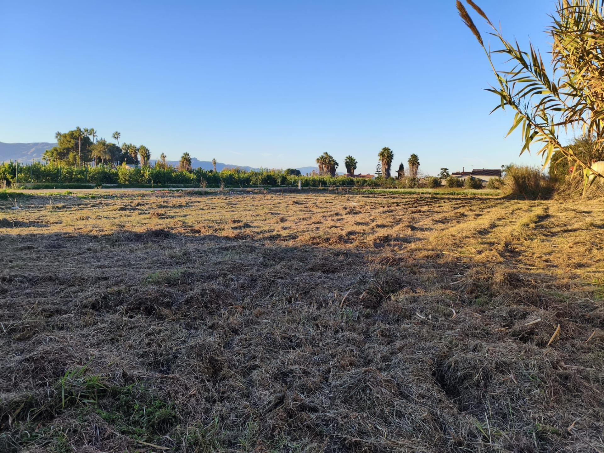 Fincas y solares-Venta-Murcia-2010197-Foto-4