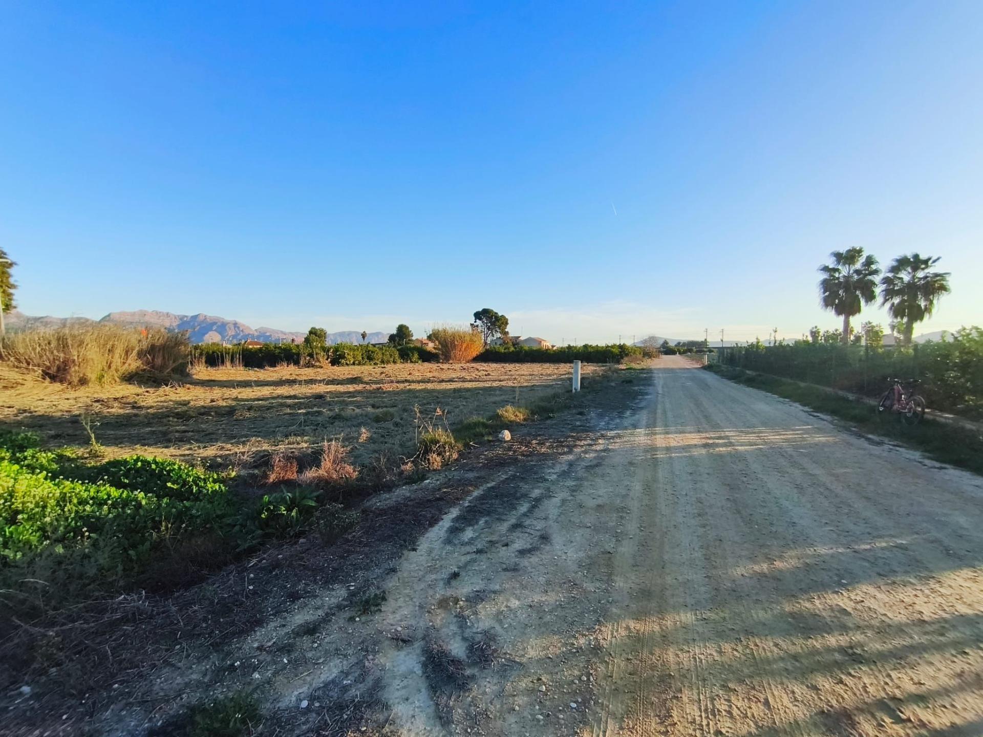 Fincas y solares-Venta-Murcia-2010197-Foto-5