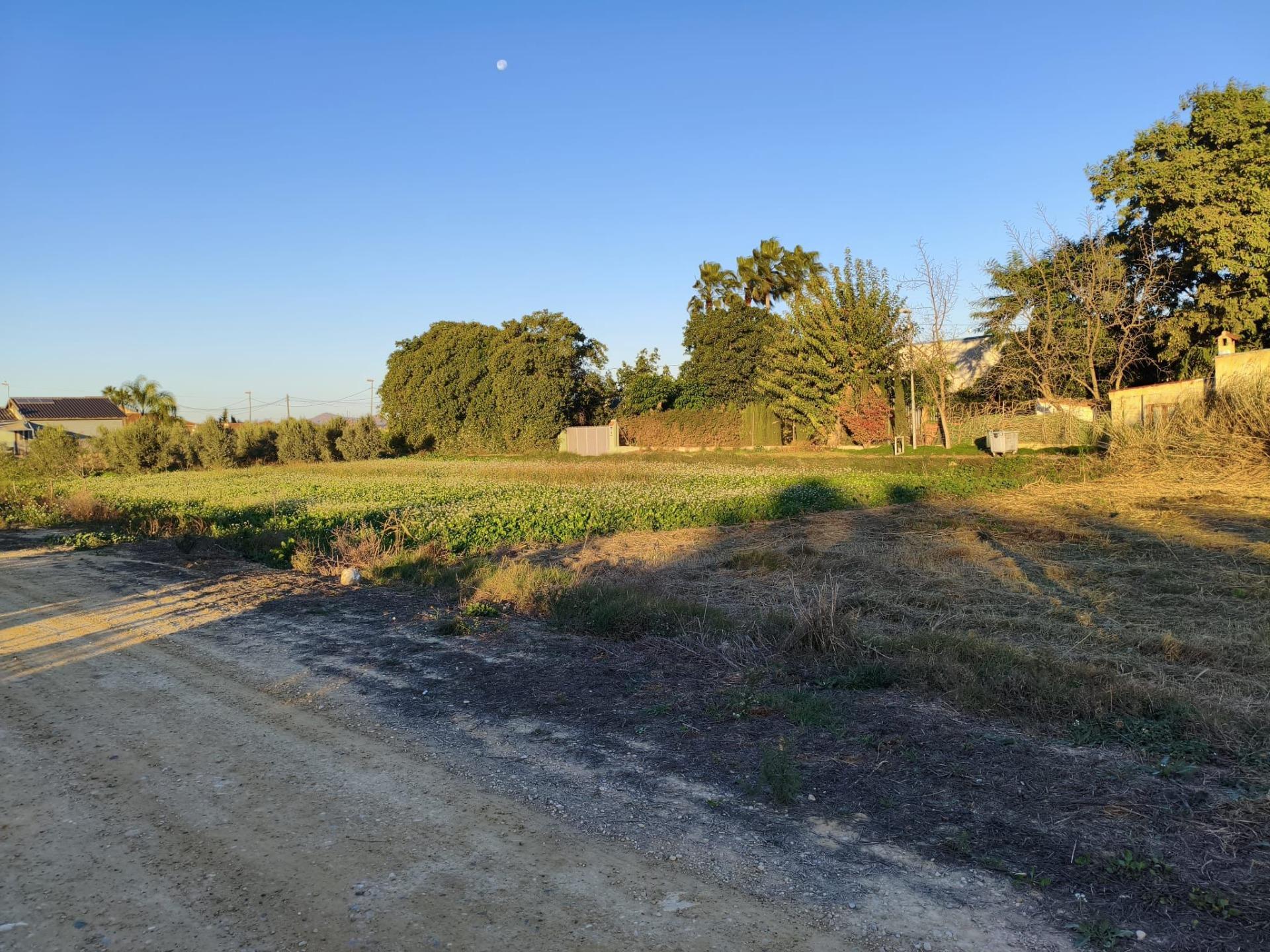 Fincas y solares-Venta-Murcia-2010197-Foto-3