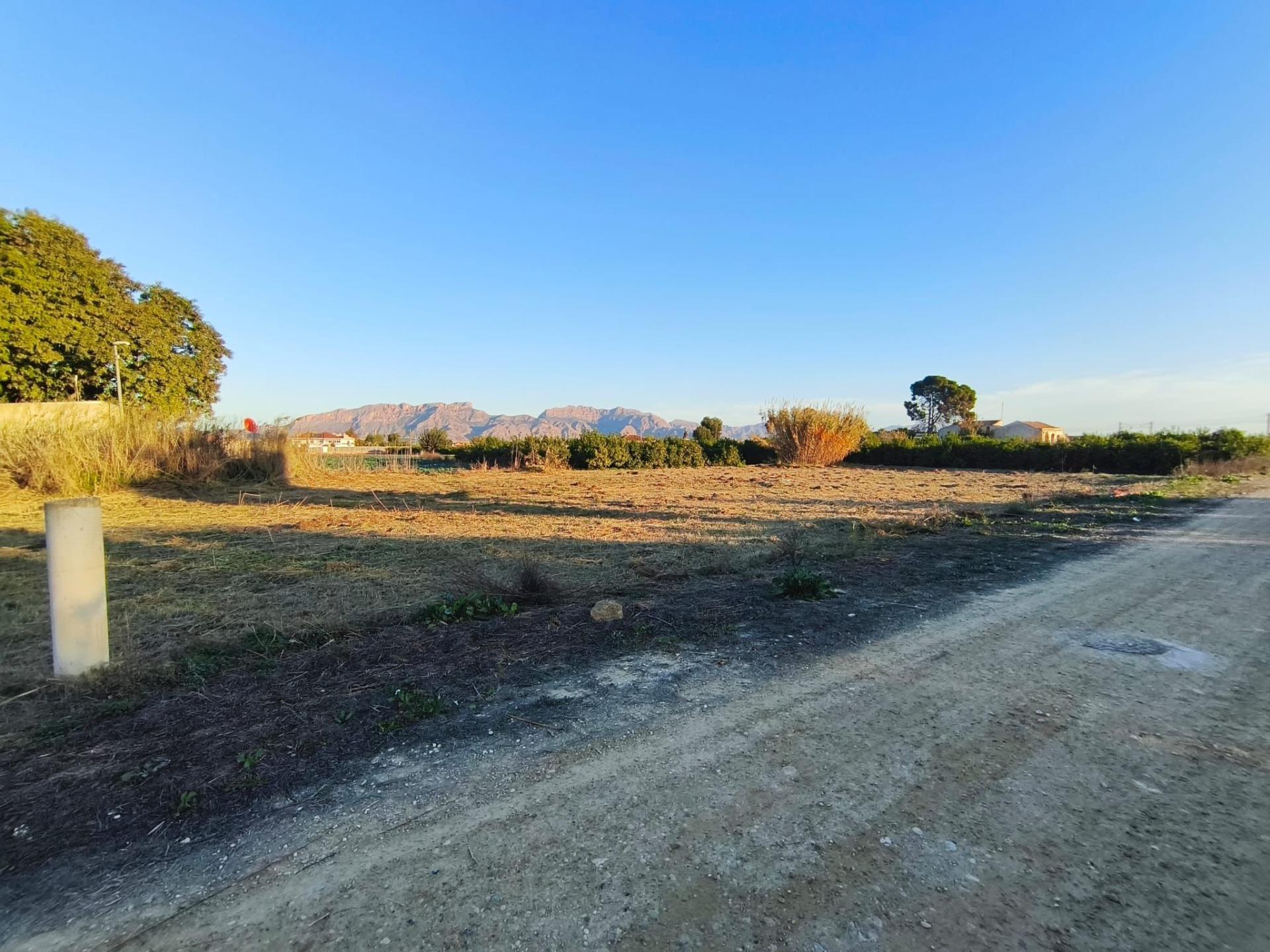 Fincas y solares-Venta-Murcia-2010197-Foto-6