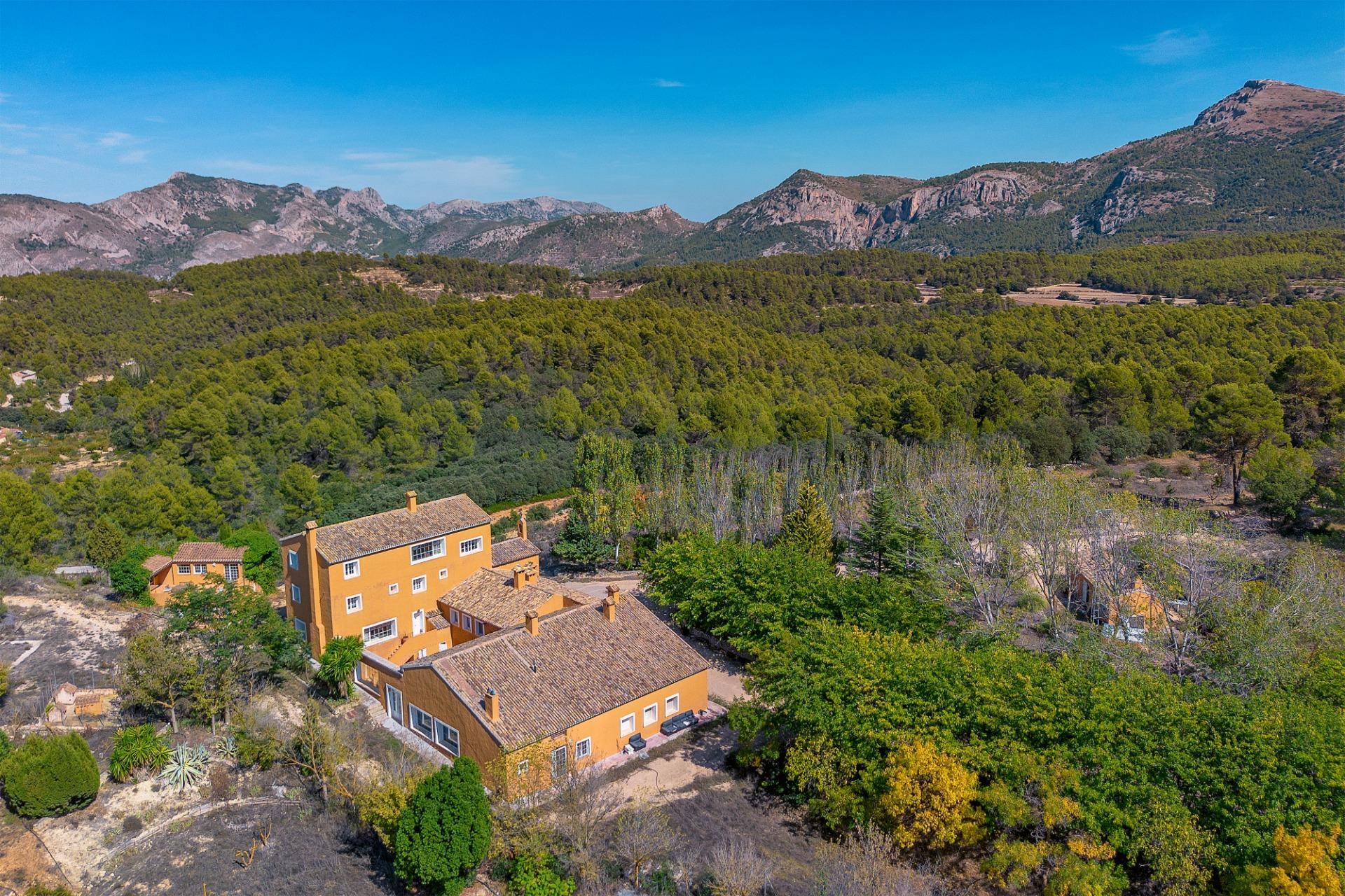 Casas o chalets-Venta-Penàguila-2009527