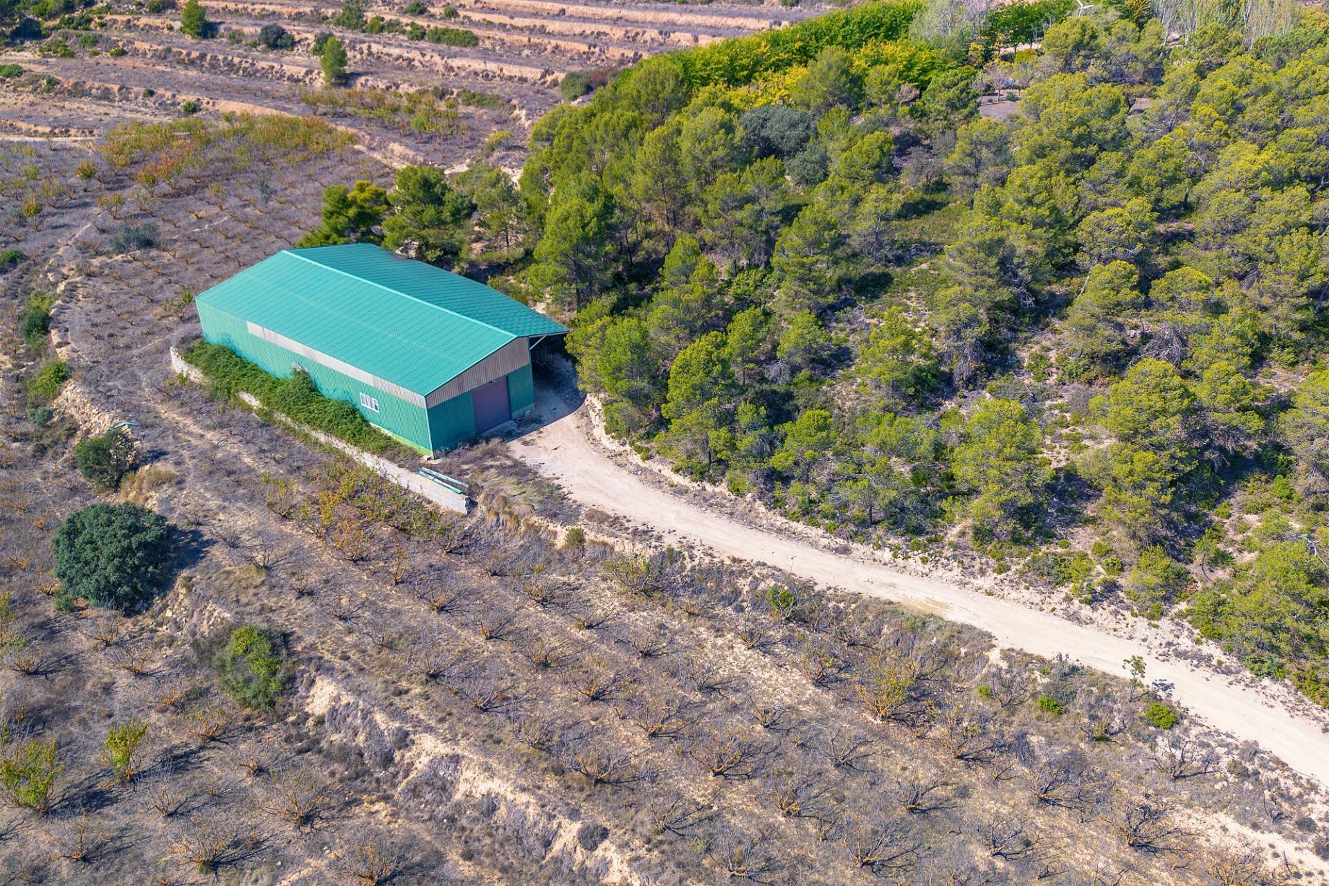 Casas o chalets-Venta-PenÃ guila-2009527-Foto-36