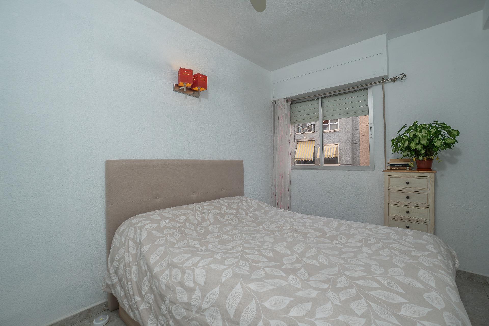 Pisos-Venta-Elche-2010649-Foto-12