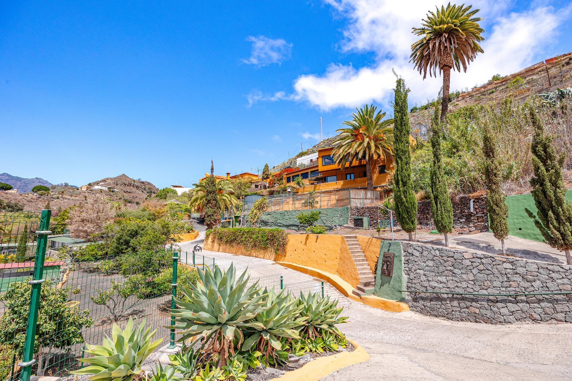 Casas o chalets-Venta-Telde-2010676-Foto-44