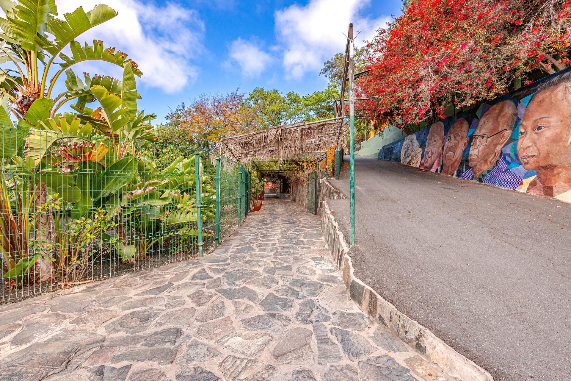 Casas o chalets-Venta-Telde-2010676-Foto-48