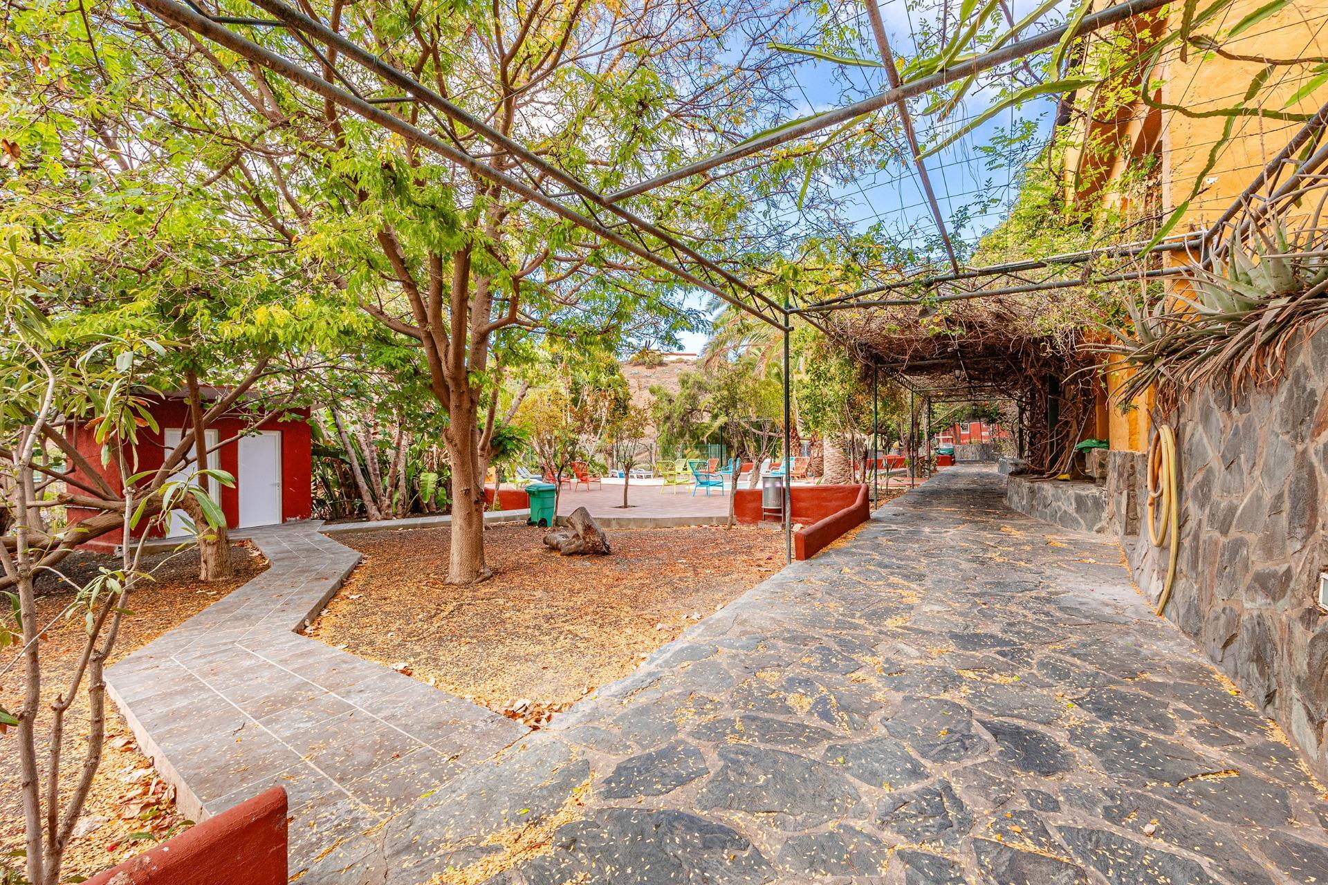 Casas o chalets-Venta-Telde-2010676-Foto-49