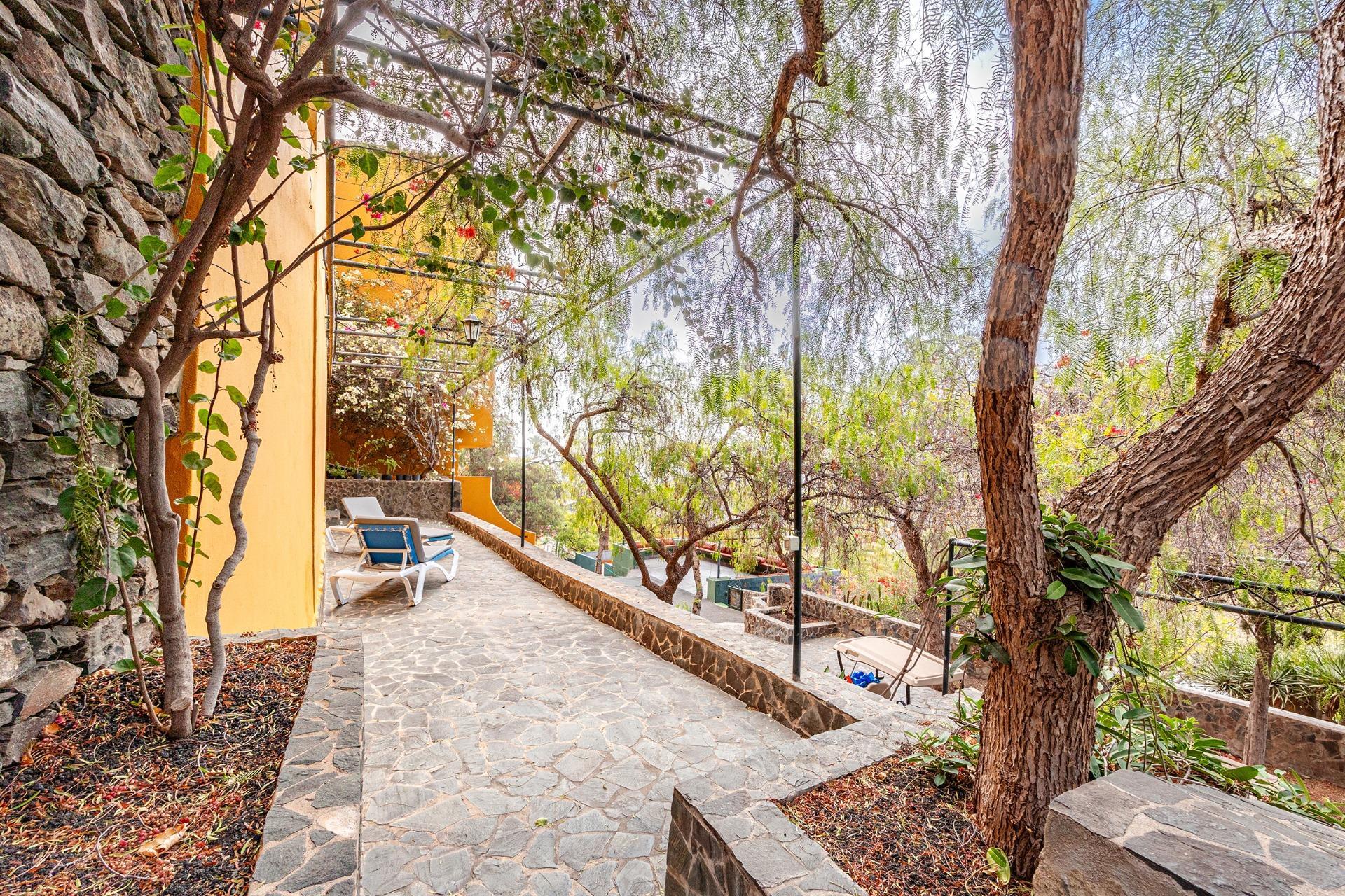 Casas o chalets-Venta-Telde-2010676-Foto-75