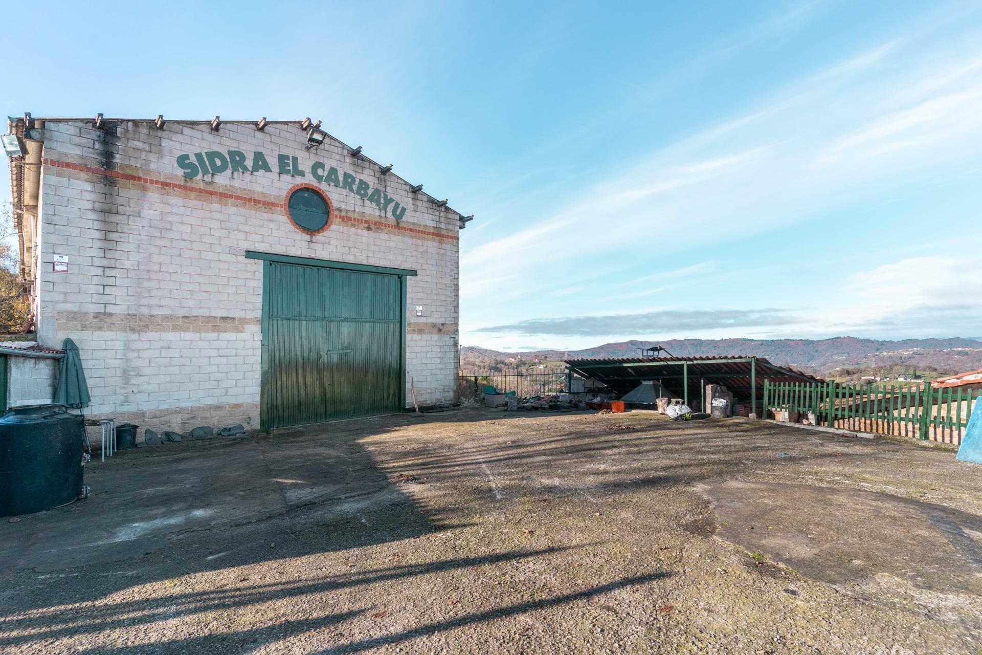 Casas o chalets-Venta-Langreo-2010682-Foto-23