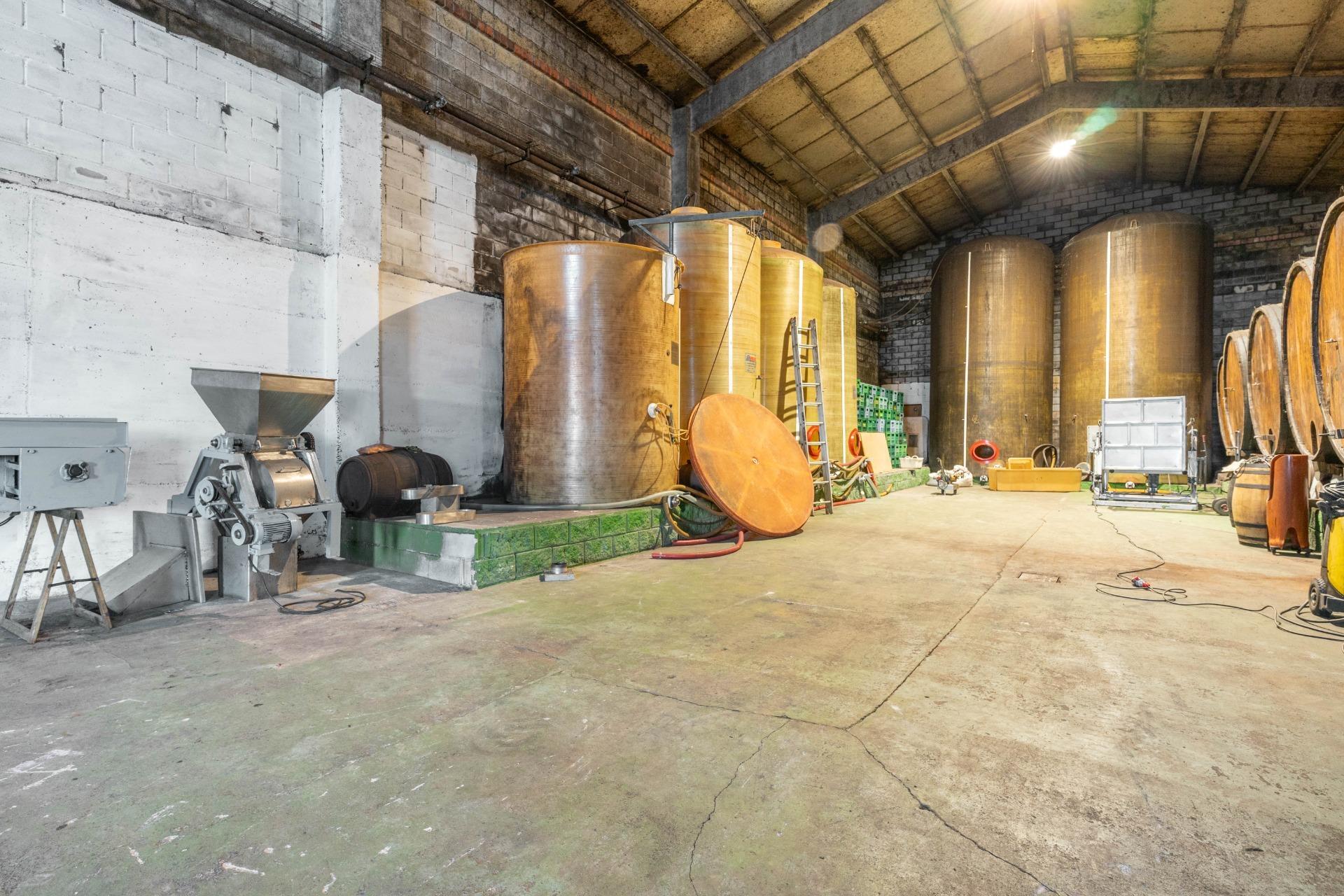 Casas o chalets-Venta-Langreo-2010682-Foto-26