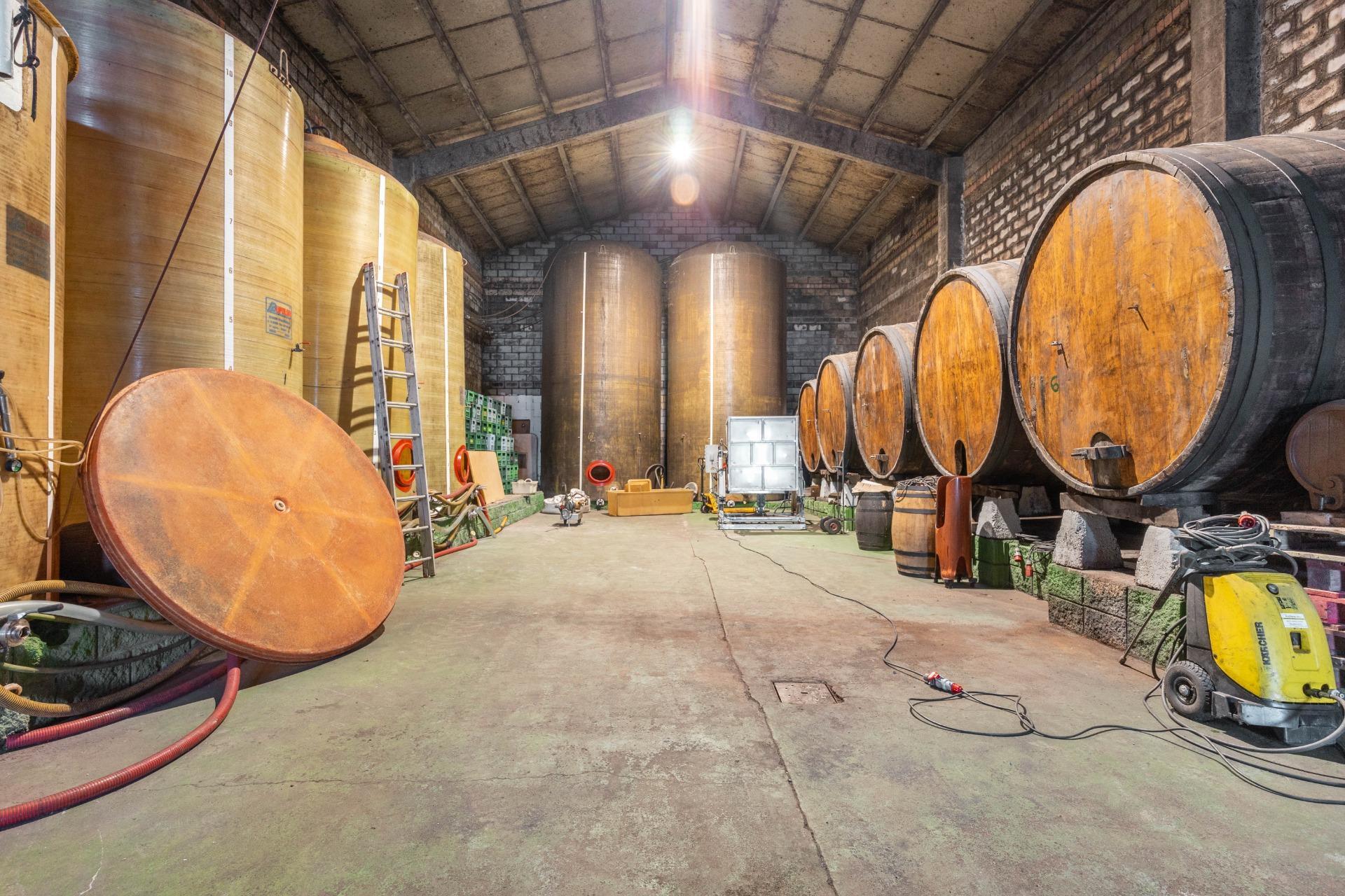 Casas o chalets-Venta-Langreo-2010682-Foto-28