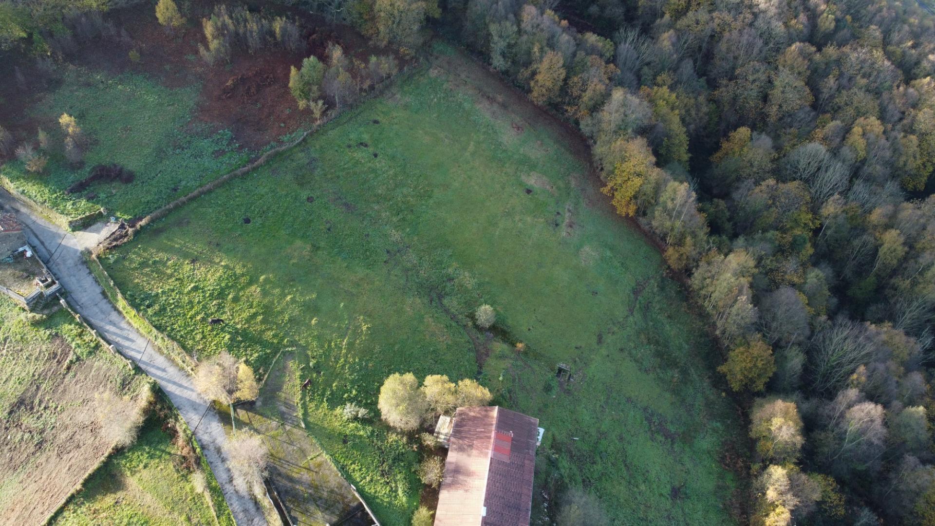 Casas o chalets-Venta-Langreo-2010682-Foto-40