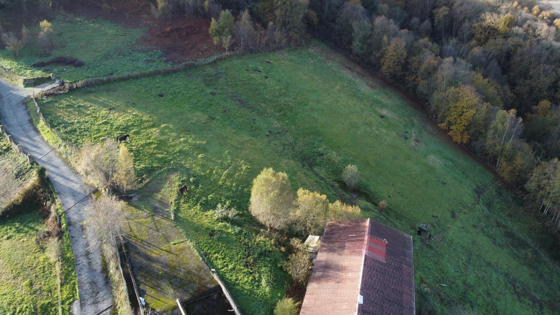 Casas o chalets-Venta-Langreo-2010682-Foto-38