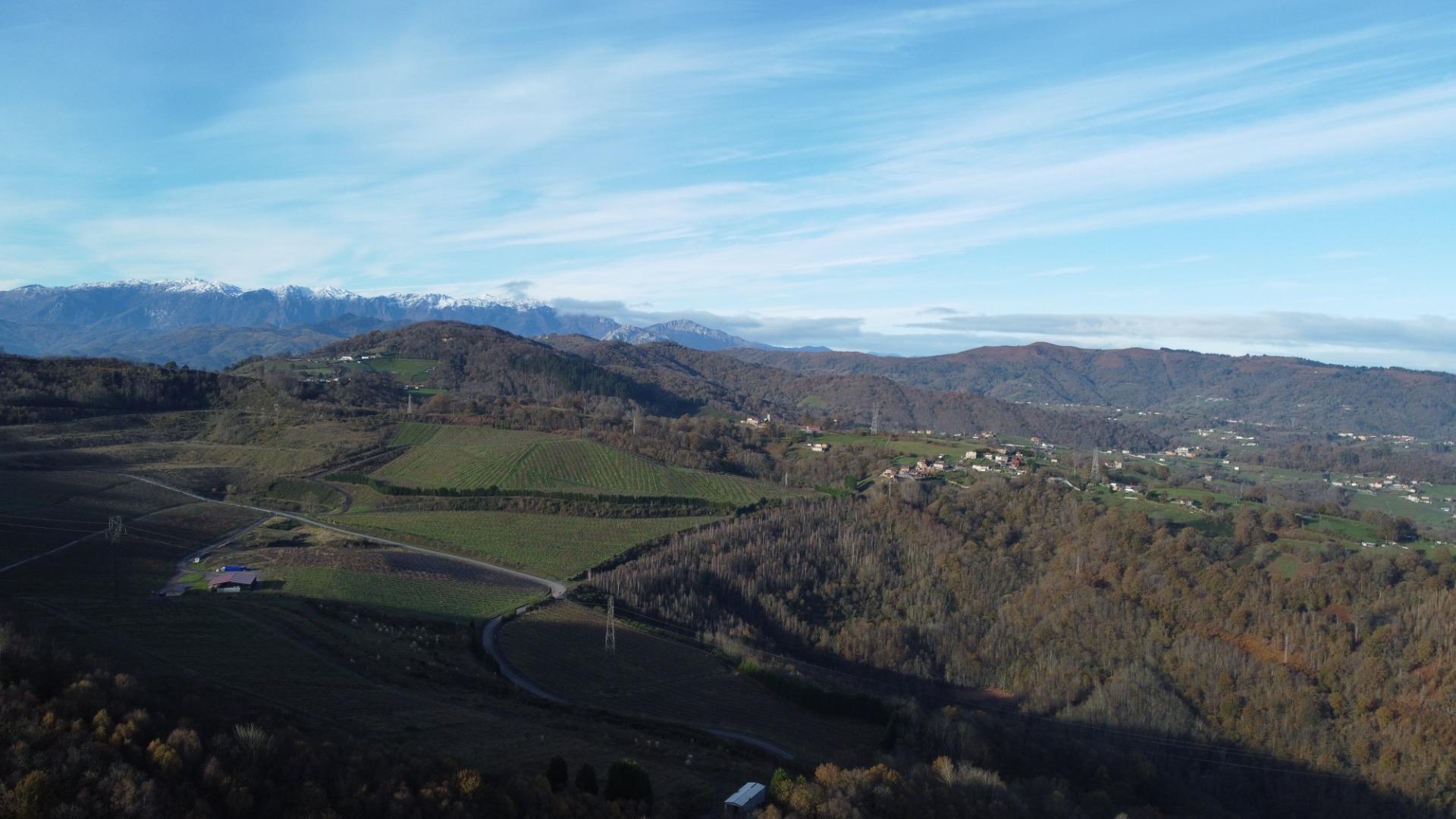 Casas o chalets-Venta-Langreo-2010682-Foto-44