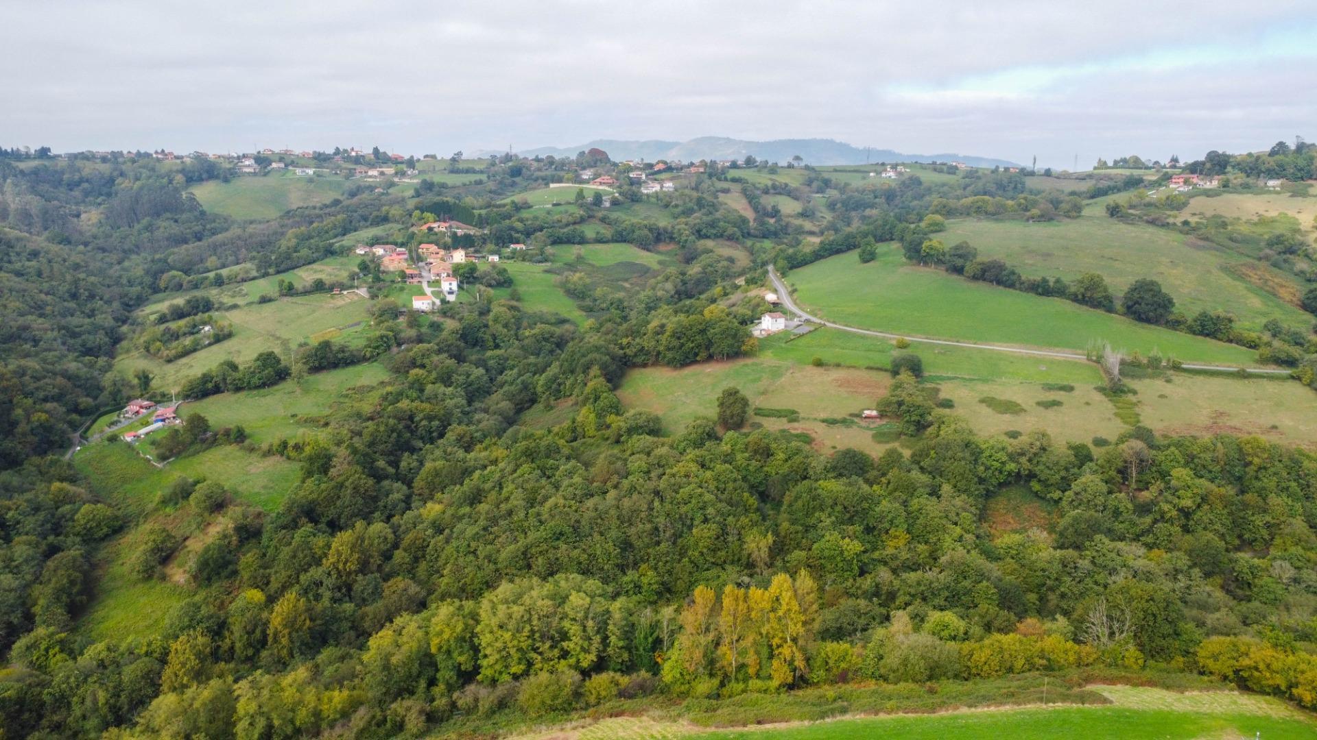 Casas o chalets-Venta-Oviedo-1904825-Foto-53