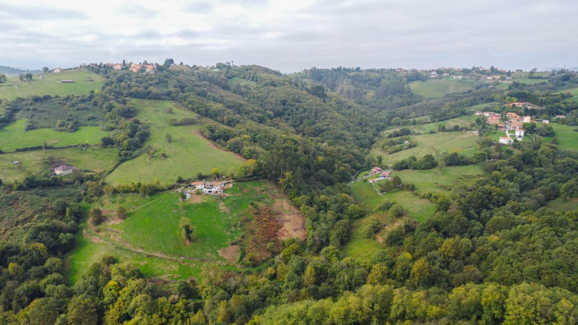 Casas o chalets-Venta-Oviedo-1904825-Foto-54