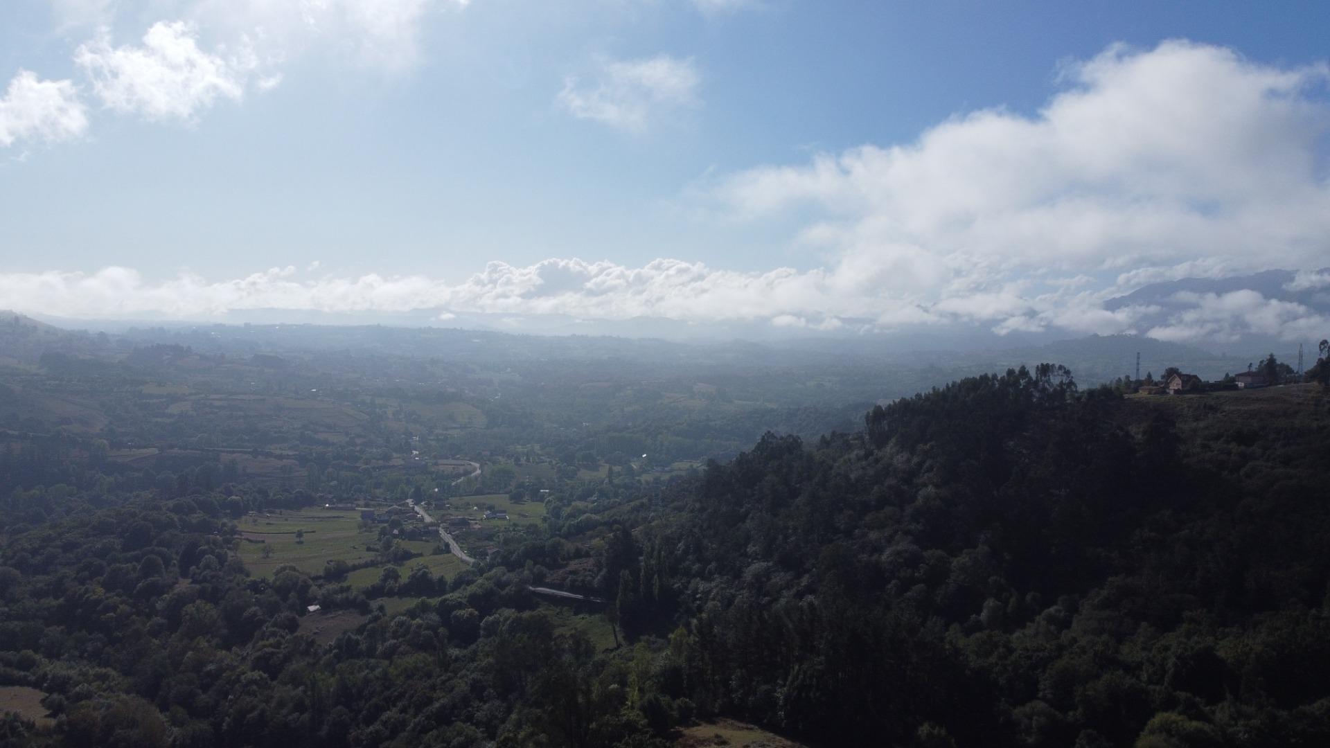 Casas o chalets-Venta-Las Regueras-1868185-Foto-97