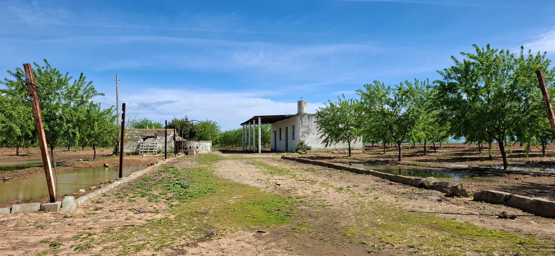 Fincas y solares-Venta-Utrera-1680570-Foto-3