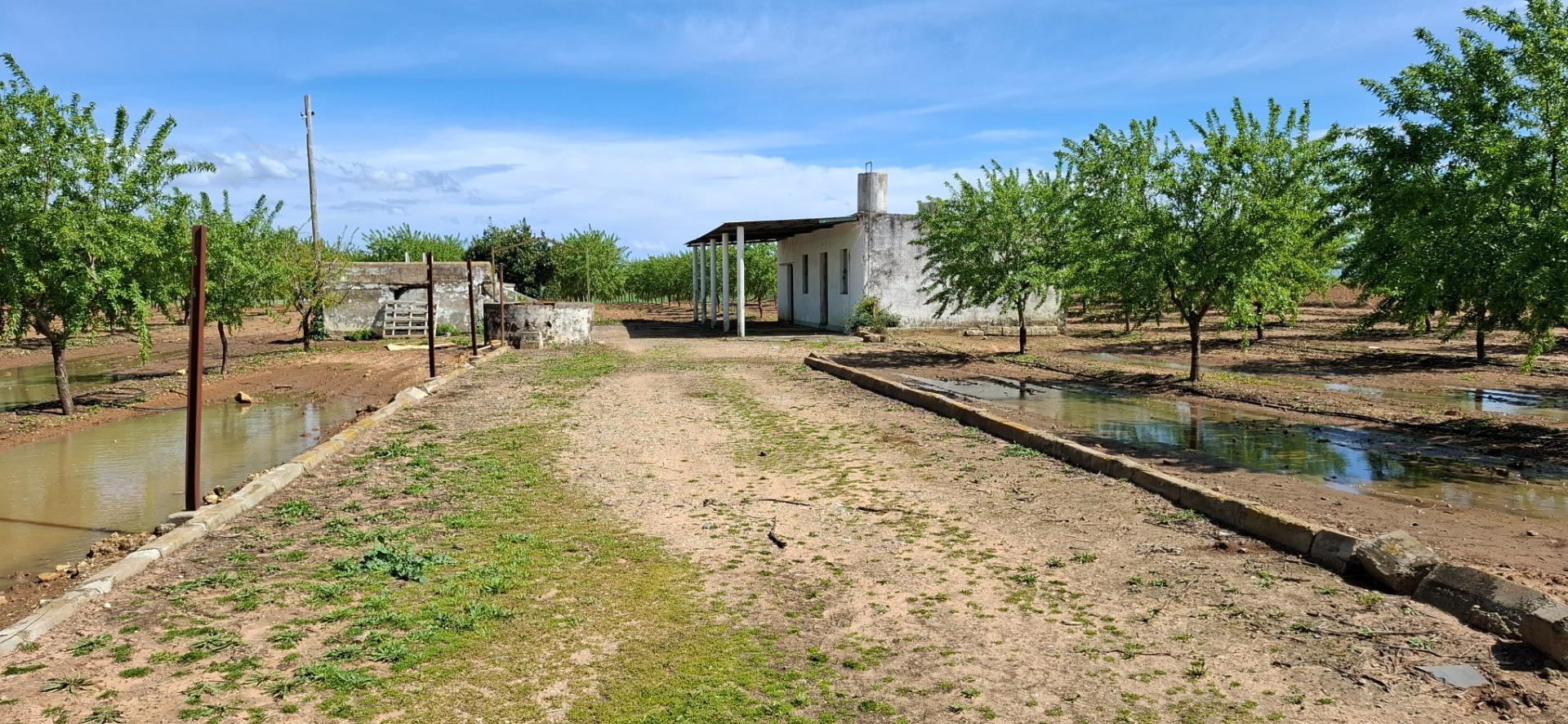 Fincas y solares-Venta-Utrera-1680570