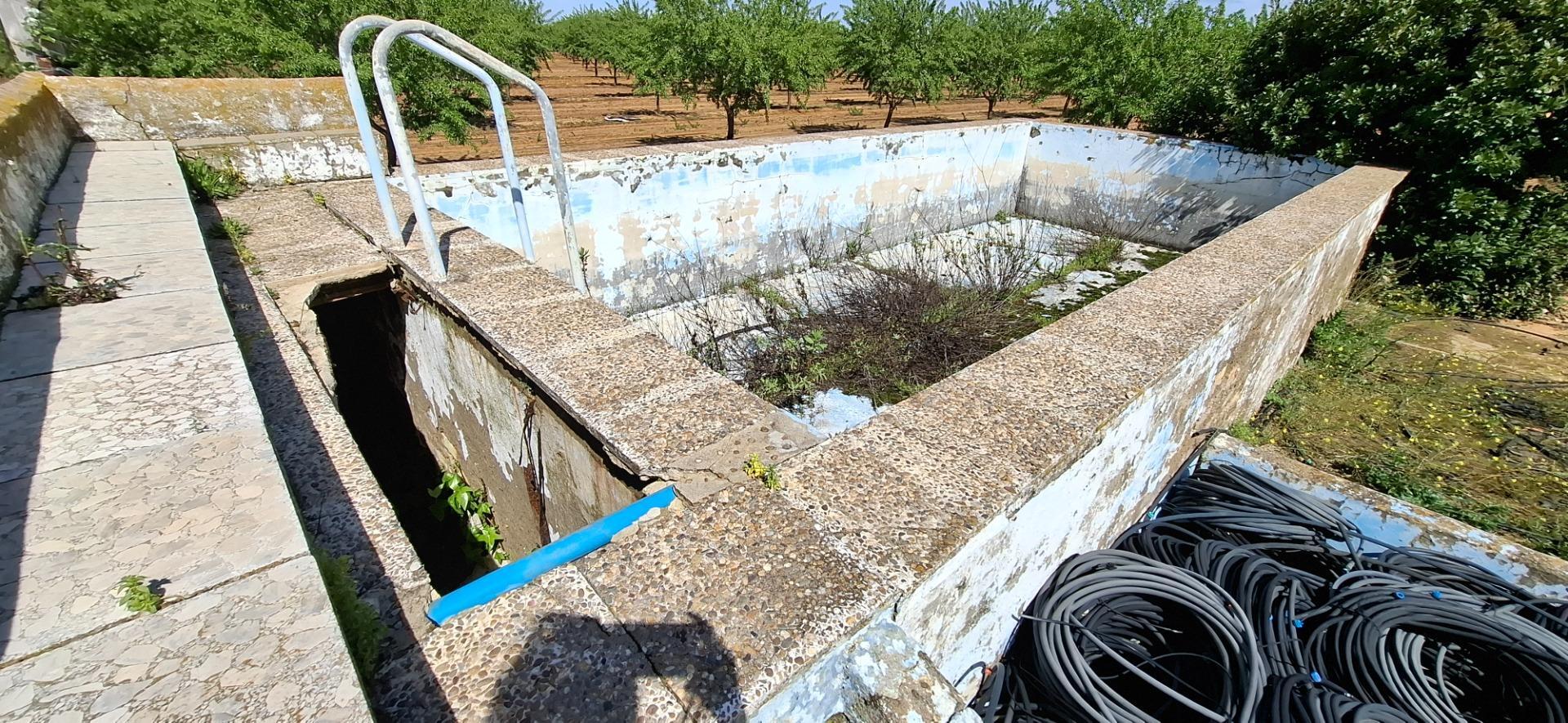 Fincas y solares-Venta-Utrera-1680570-Foto-5