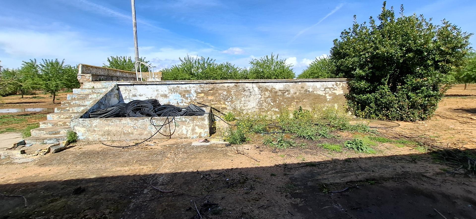 Fincas y solares-Venta-Utrera-1680570-Foto-6