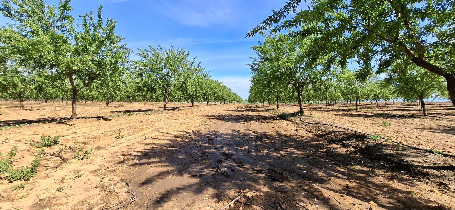 Fincas y solares-Venta-Utrera-1680570-Foto-7