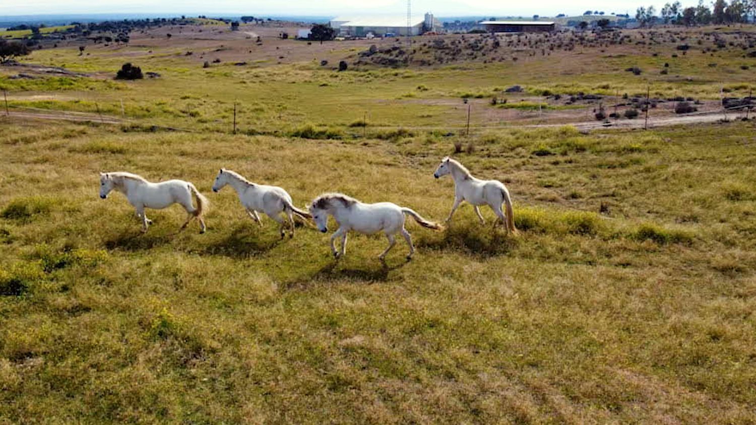 Industrial en venta  calle de oropesa a Puente de Arzopispo, El Puente del Arzobispo  1/50