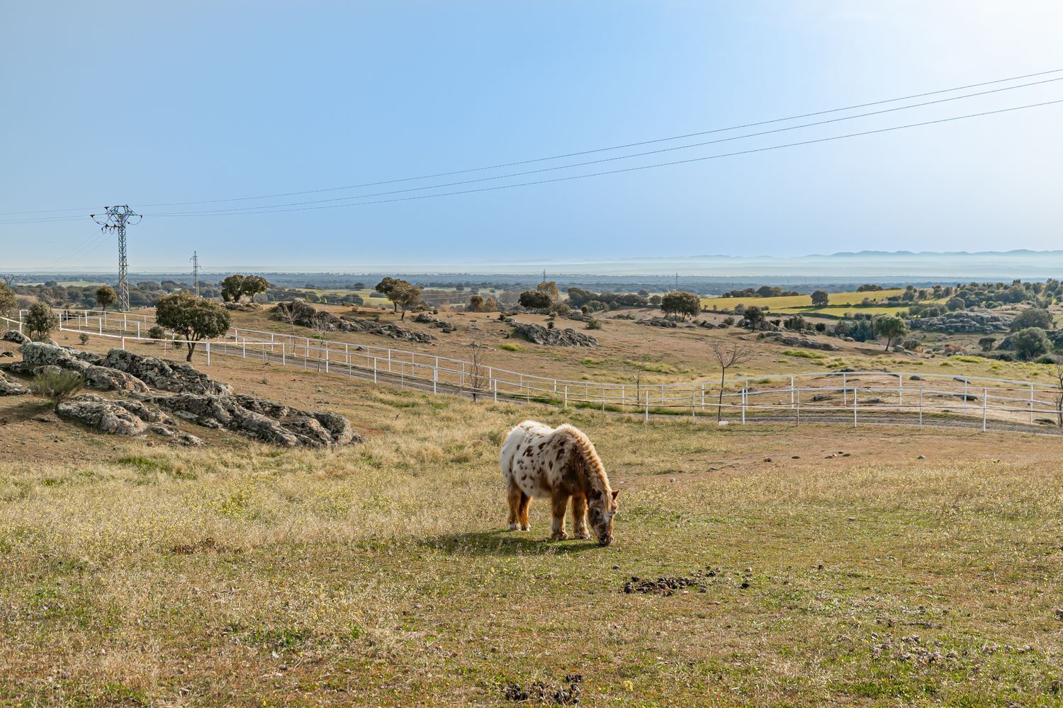 Industrial en venta  calle de oropesa a Puente de Arzopispo, El Puente del Arzobispo  4/50