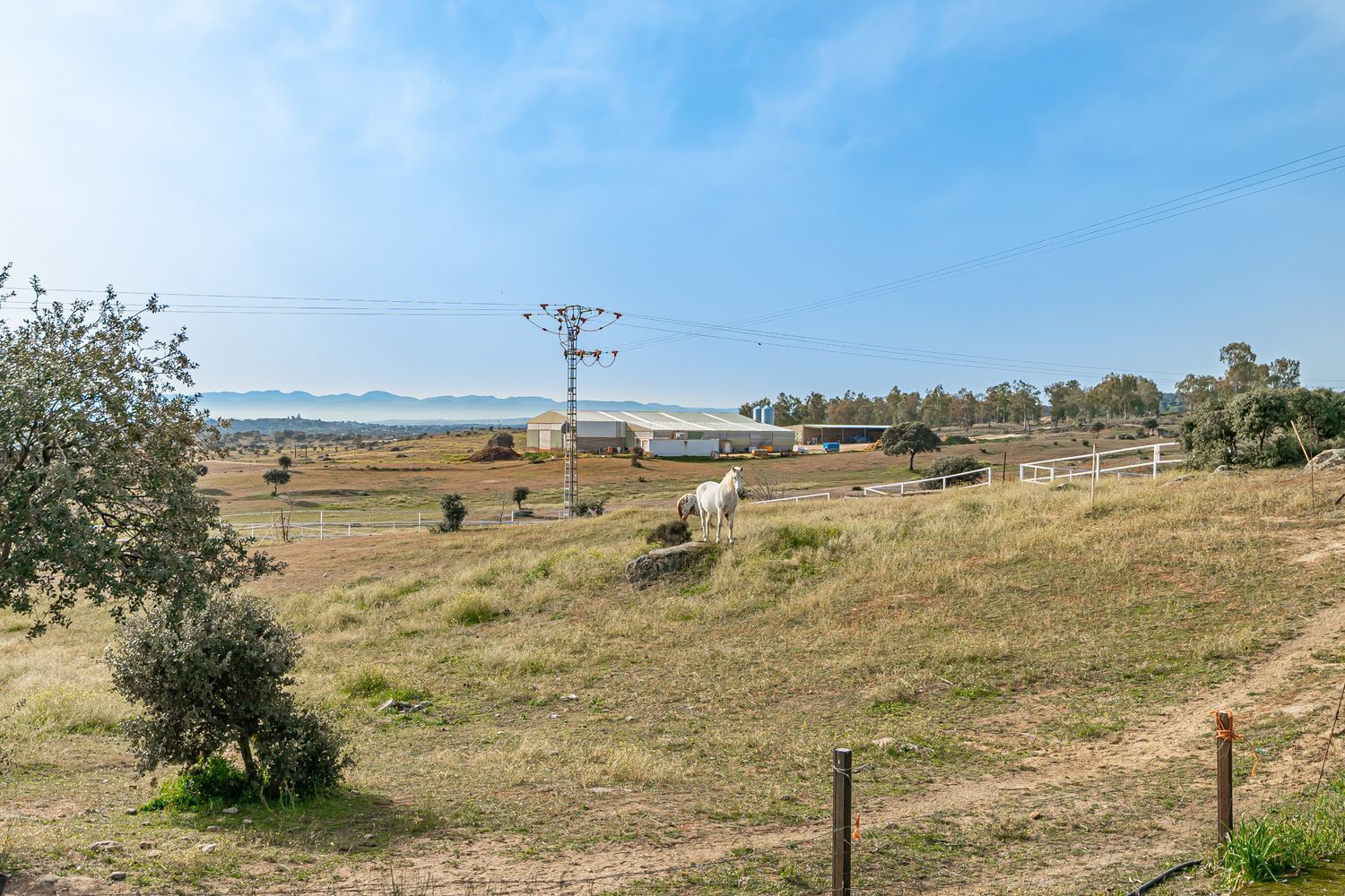 Industrial en venta  calle de oropesa a Puente de Arzopispo, El Puente del Arzobispo  8/50