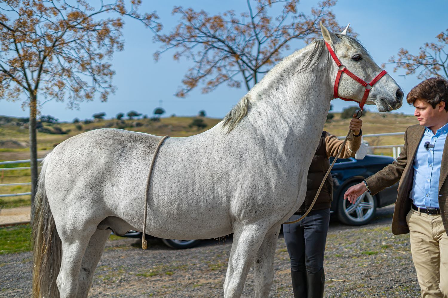 Industrial en venta  calle de oropesa a Puente de Arzopispo, El Puente del Arzobispo  42/50